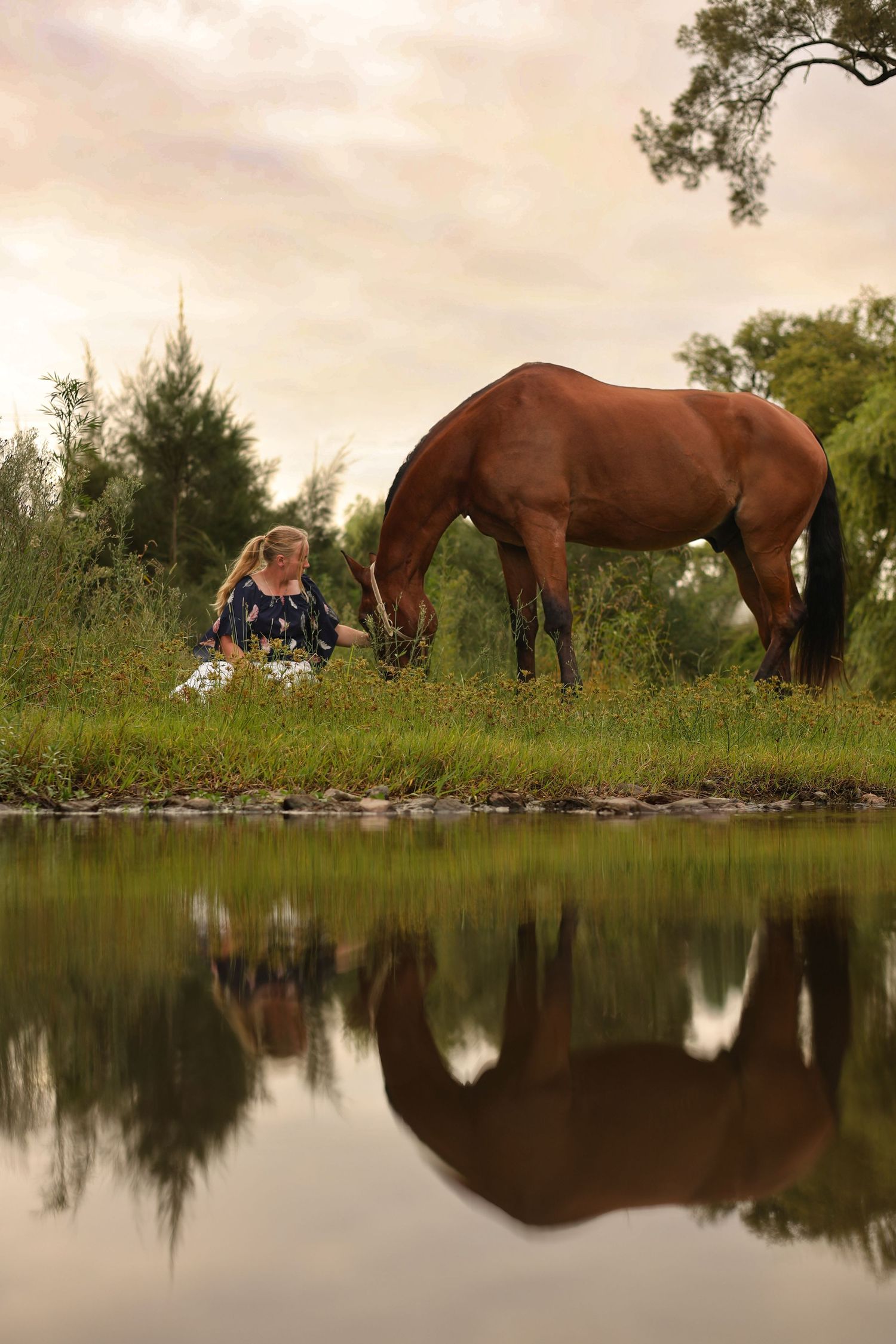 Brown horses grazing by a tranquil pond with their reflections mirrored in the still water at sunset.