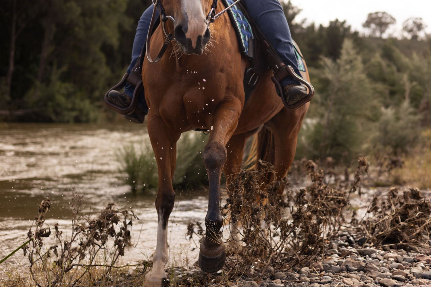 Horseback riders crossing a shallow river with splashing water creating a dynamic action scene in nature.