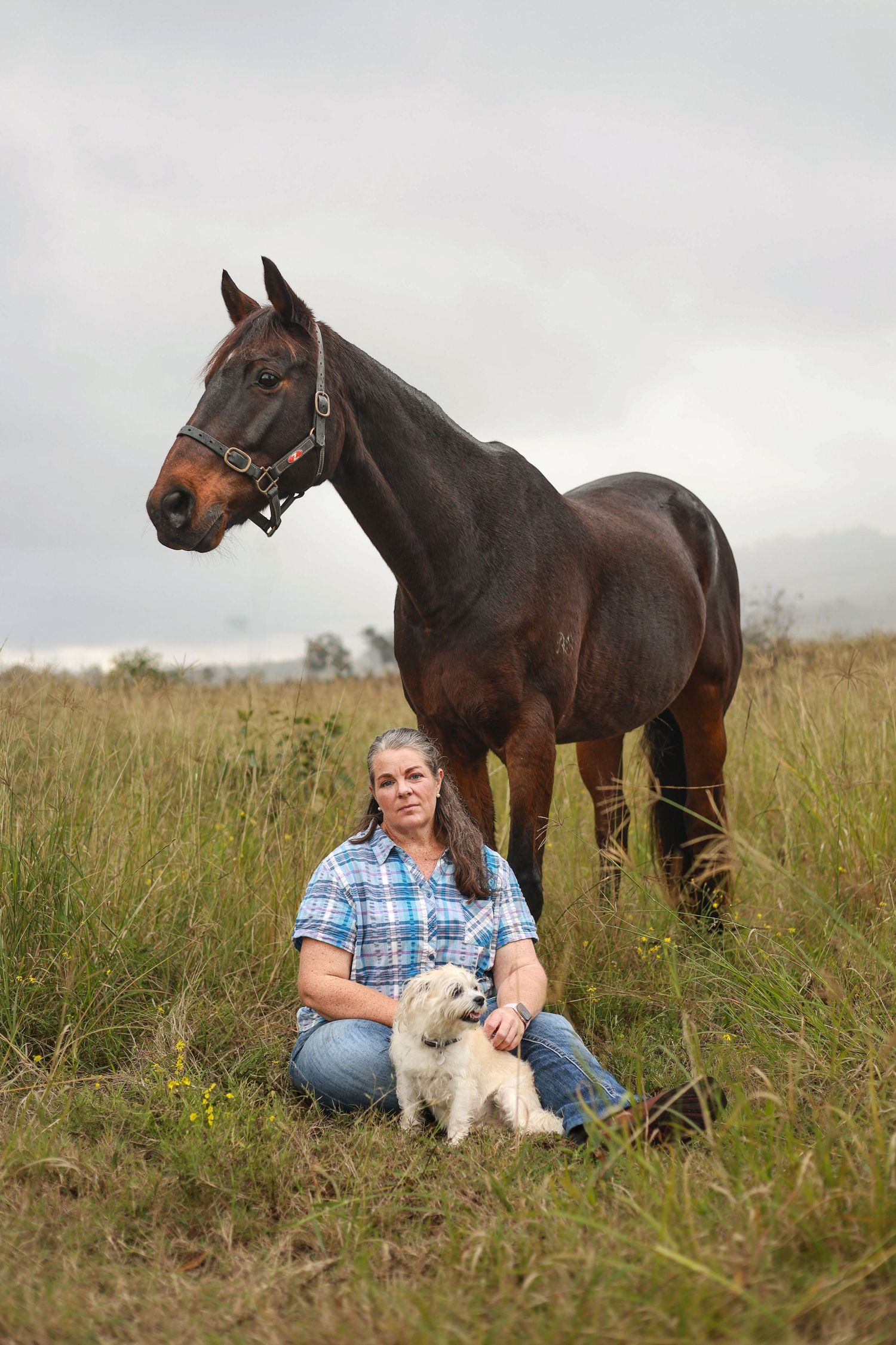 A tranquil rural scene with a horse and small white dog resting in a grassy meadow.