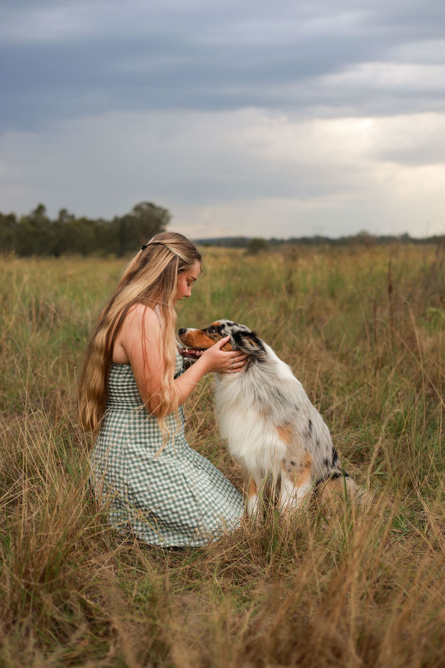 A person in a gingham dress sits in a grassy field with an Australian Shepherd dog on a cloudy day.