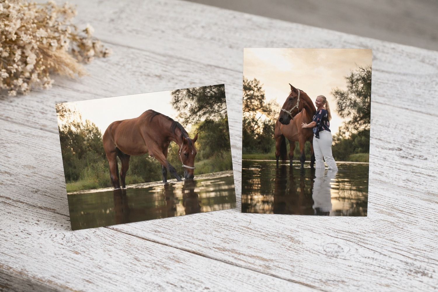 A brown horse stands in a tranquil pond at sunset, creating a peaceful reflection in the golden water.