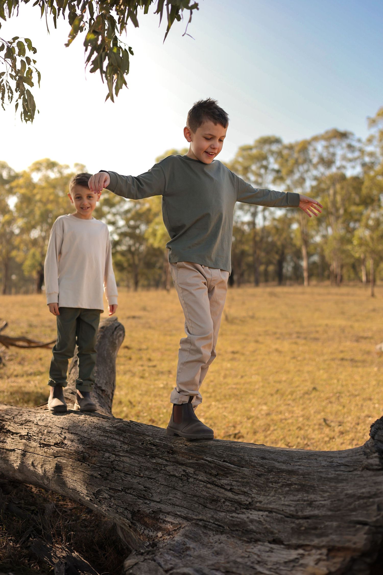 Two boys playing on a fallen log in a sunlit Australian bush setting with eucalyptus trees in the background.