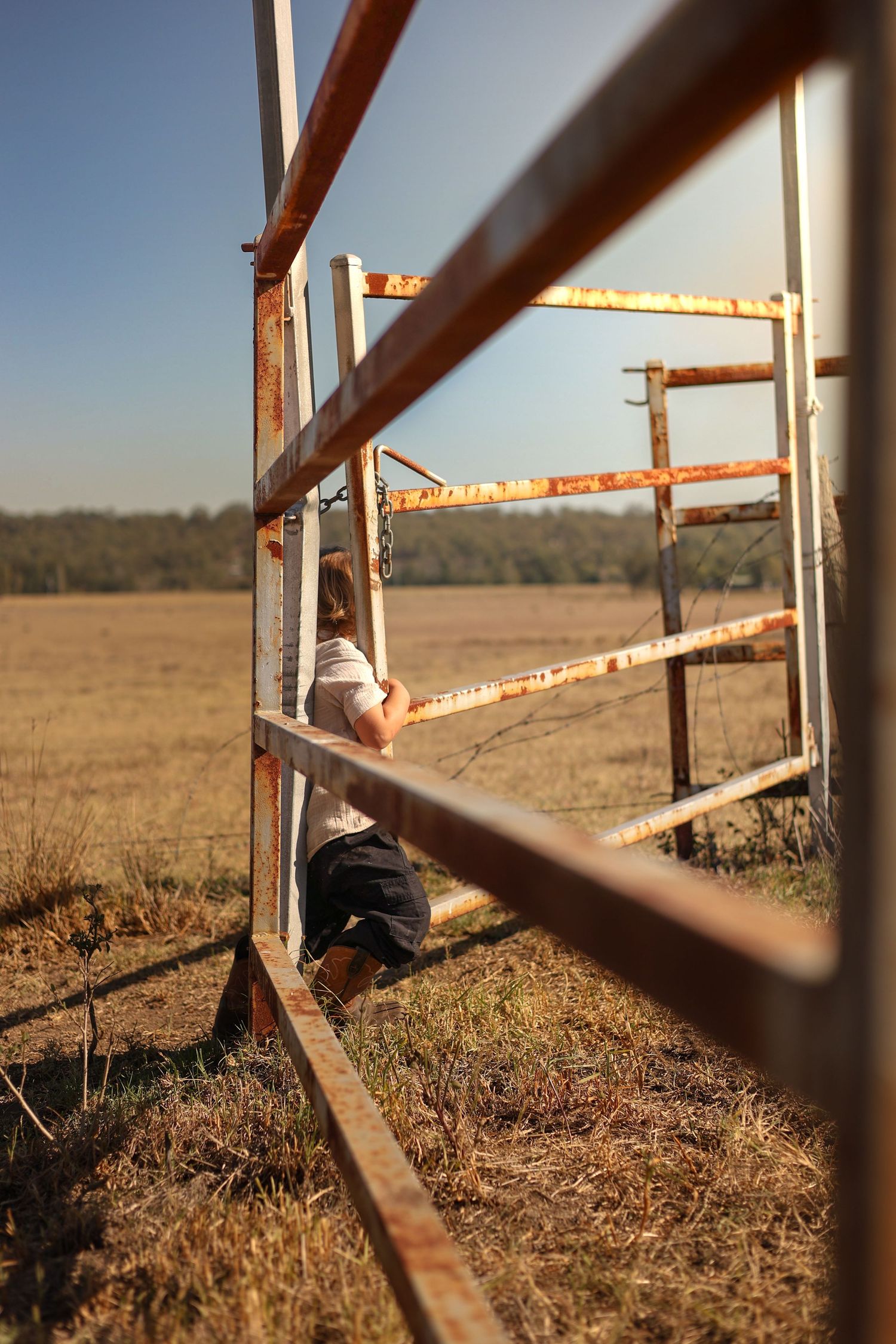 Child climbing rusty metal farm gate in a dry rural field under a clear blue sky.