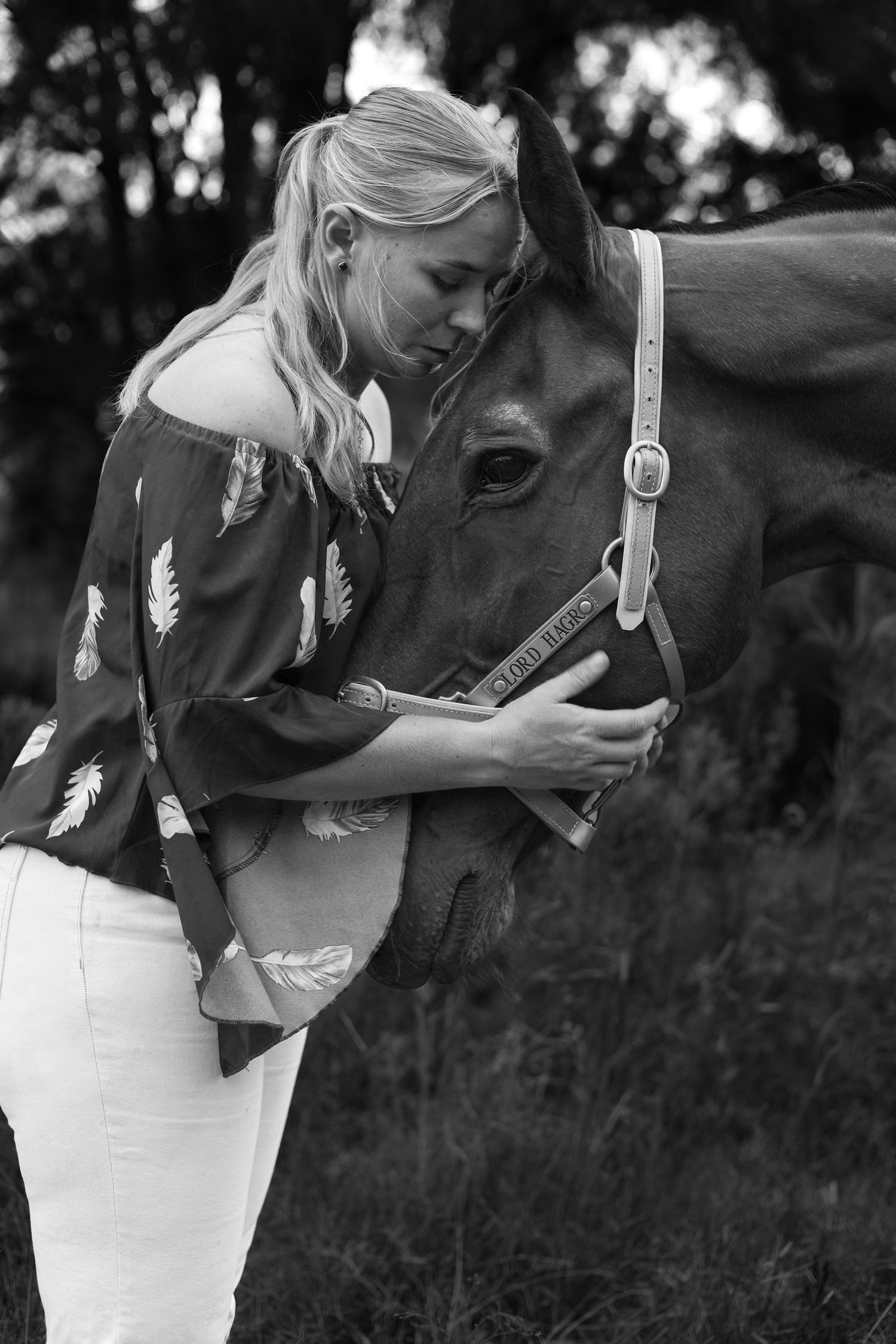 A person in casual attire interacts affectionately with a brown horse in a natural outdoor setting.