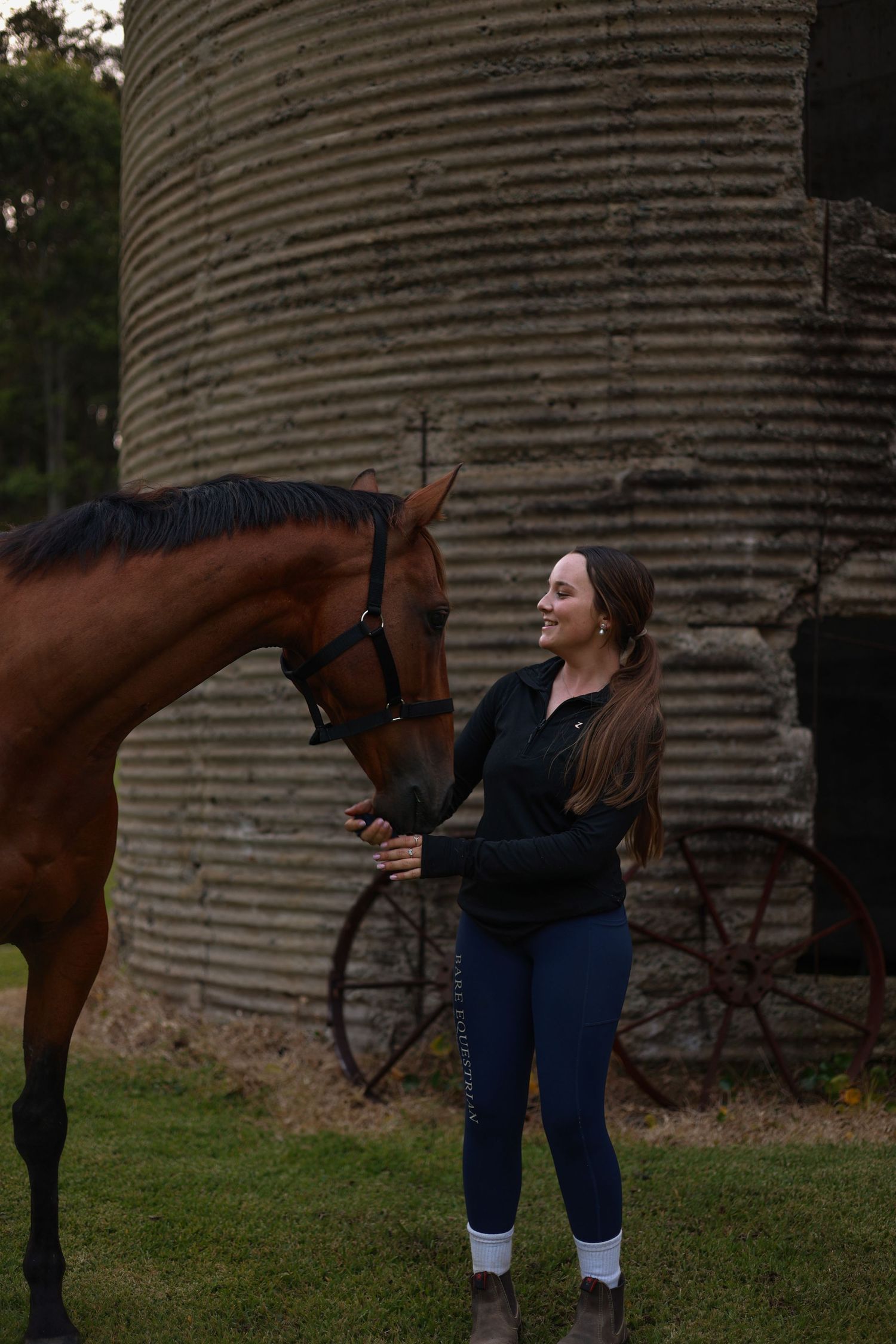 Brown horse standing by rustic grain silo while person pets its neck in outdoor farm setting.