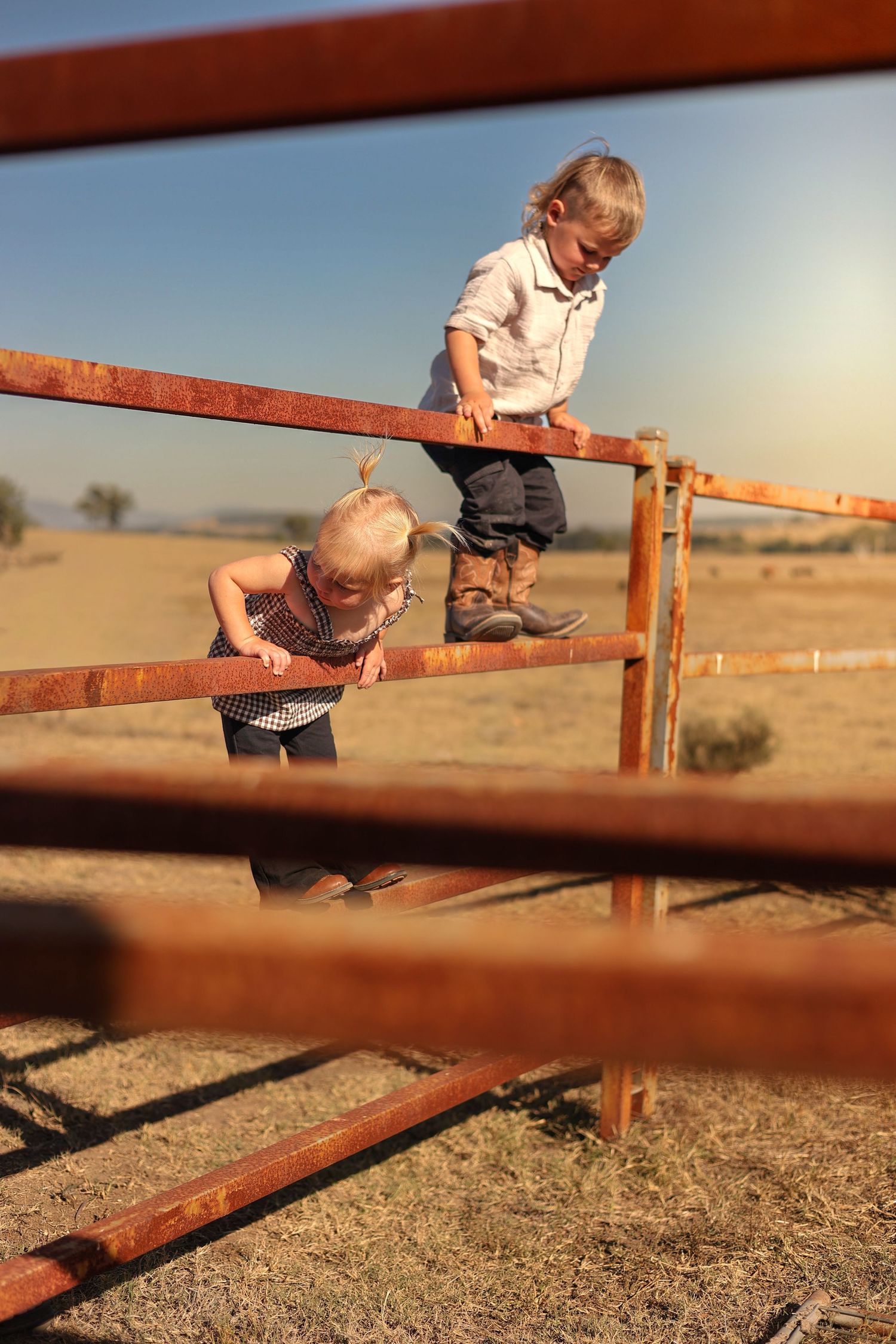 Two young children climbing a rusty farm gate in a golden field under a clear blue sky.