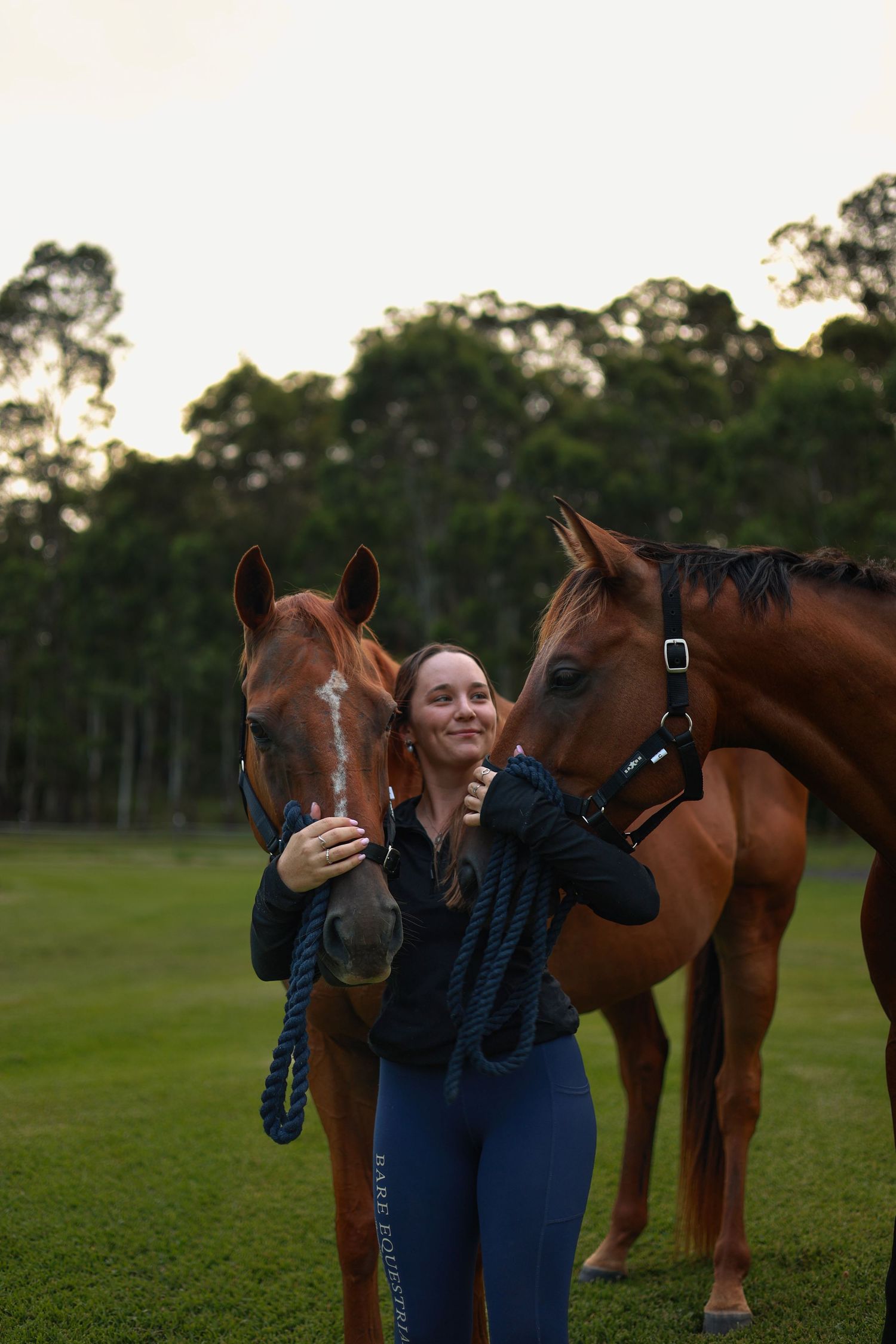 Two beautiful horses stand with their handler in a grassy field at dusk with eucalyptus trees in the background.