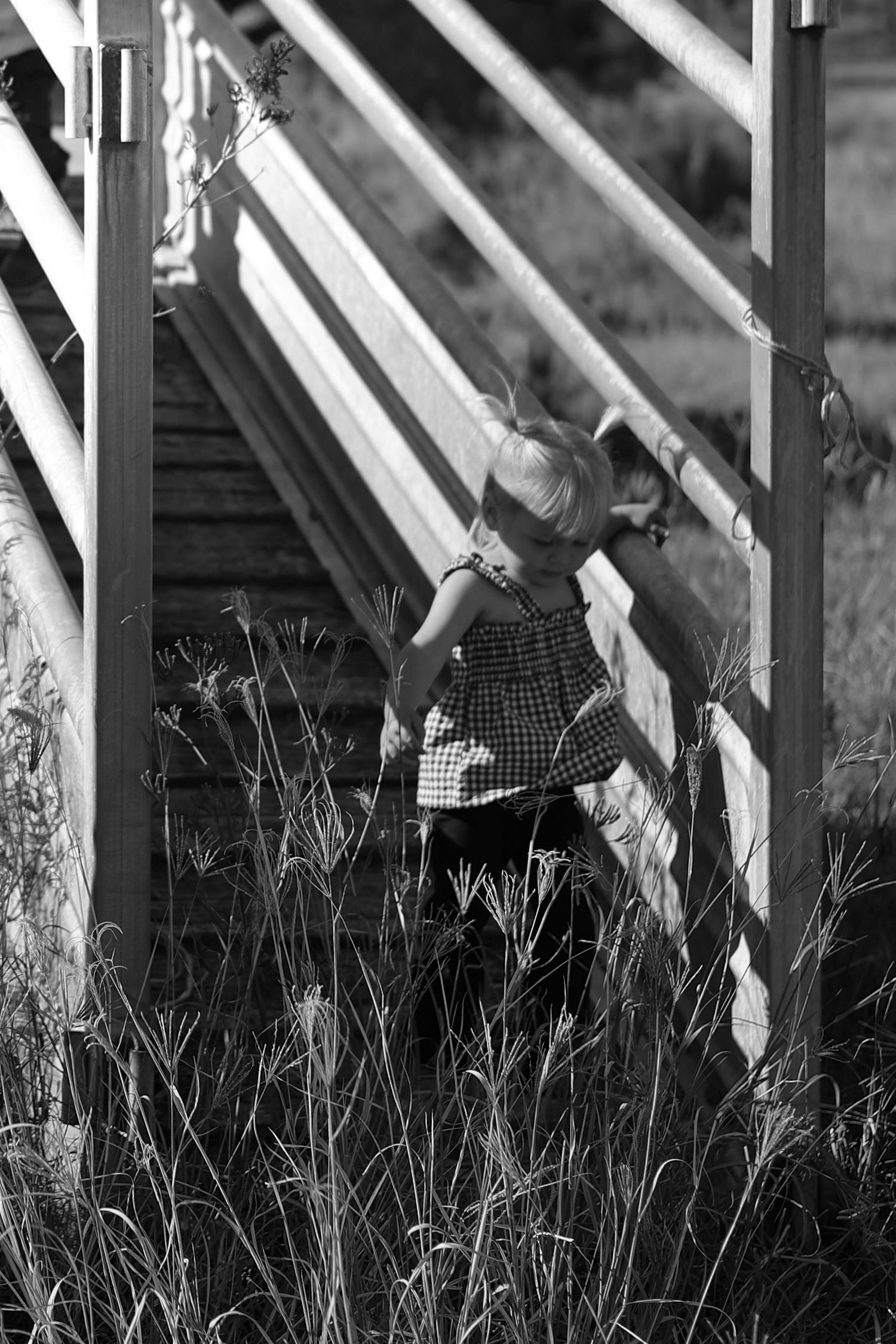 Black and white photo of a young girl in a checkered dress climbing wooden stairs surrounded by tall grass.