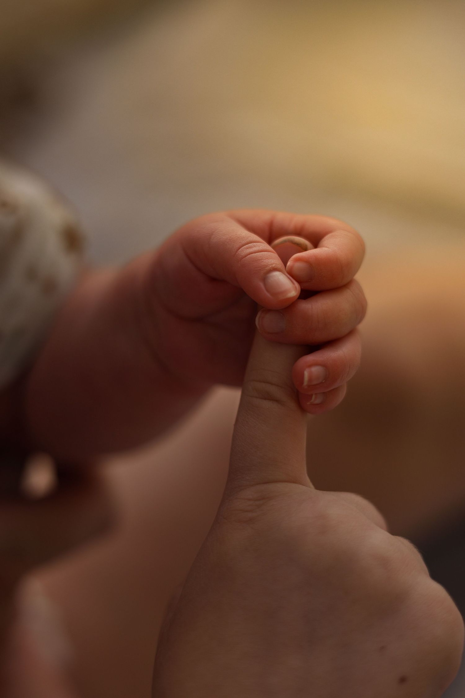 A tiny newborn baby hand tightly gripping an adult's finger, symbolizing trust and the bond between parent and child.