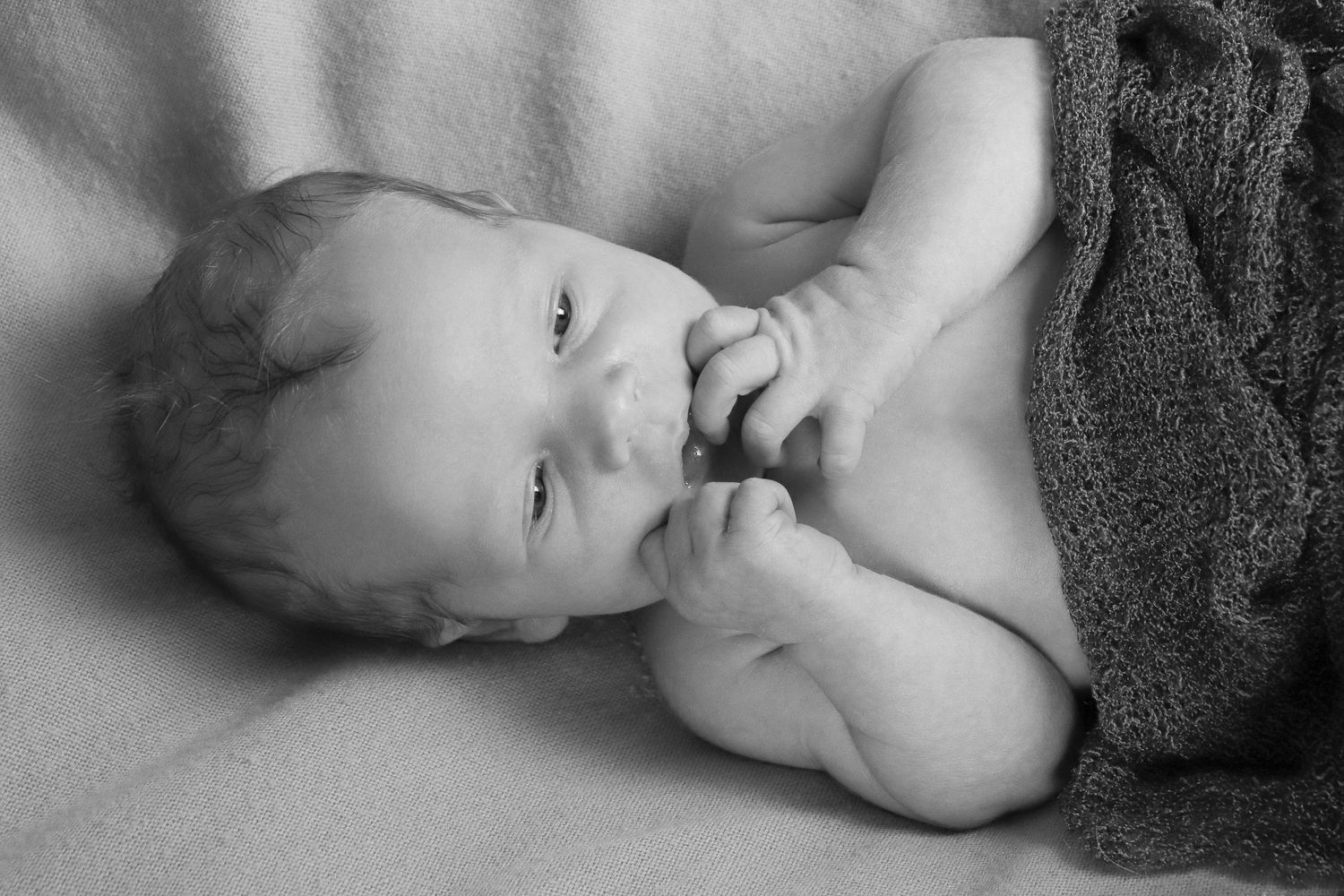 Black and white portrait of an alert infant lying down under a dark blanket while sucking on their fingers.