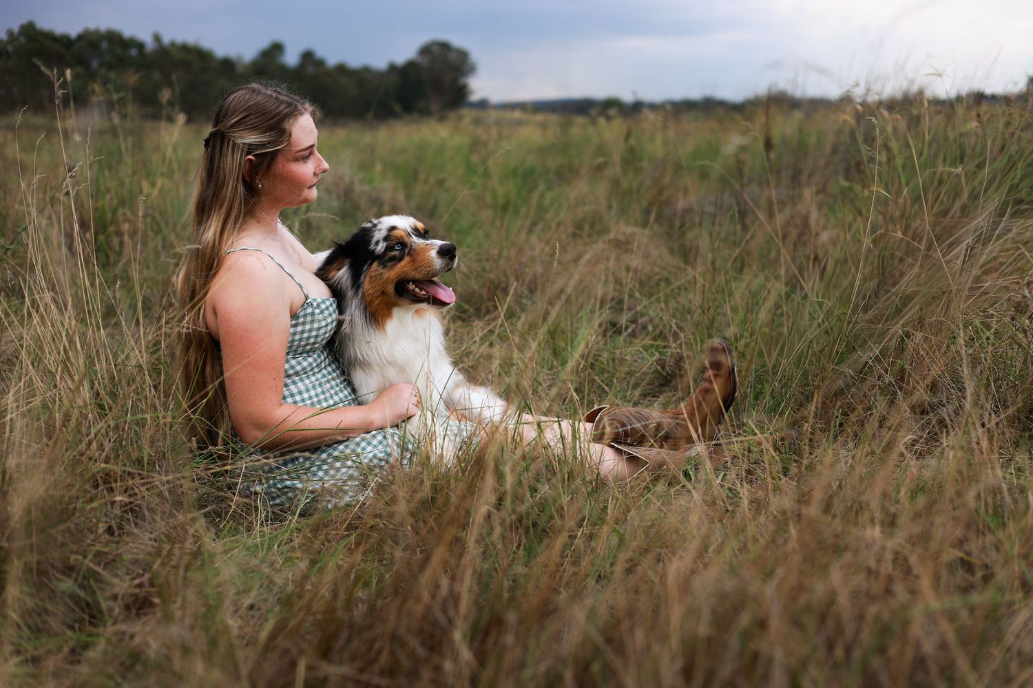 A person sits in a grassy meadow with their brown and white dog on a sunny afternoon.