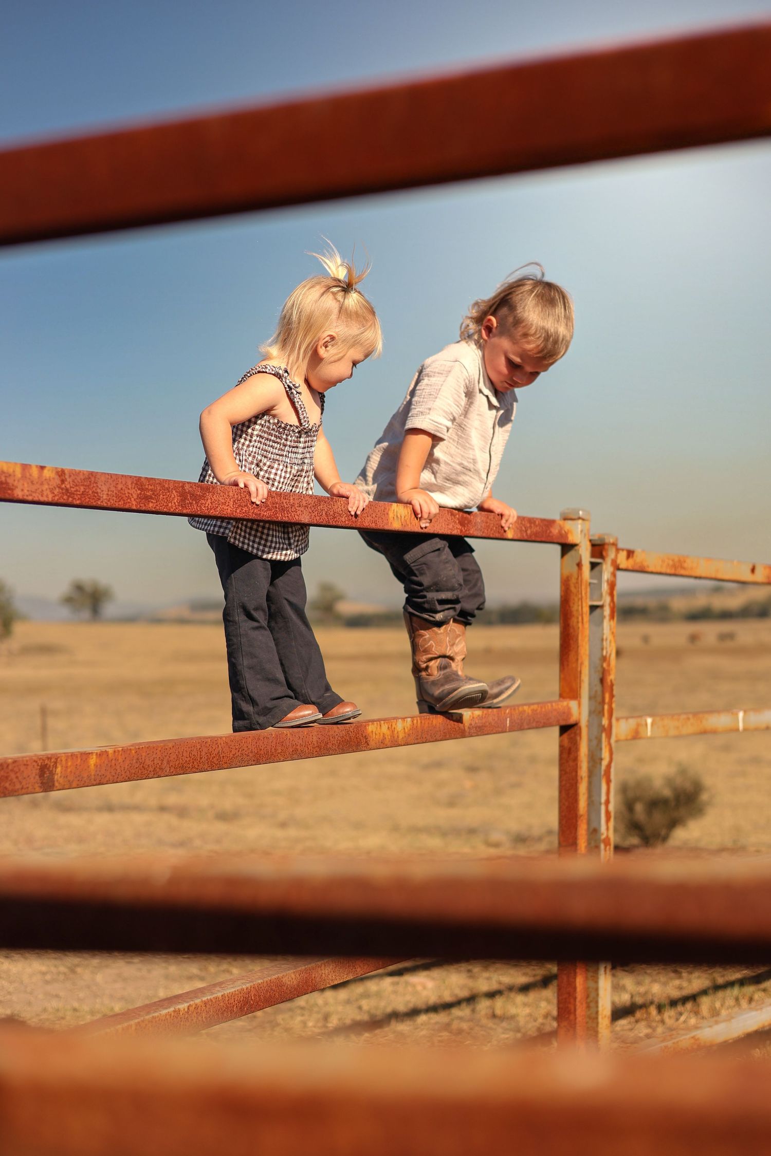 Two blonde toddlers standing on a rusty farm gate in a dry rural field on a sunny day.