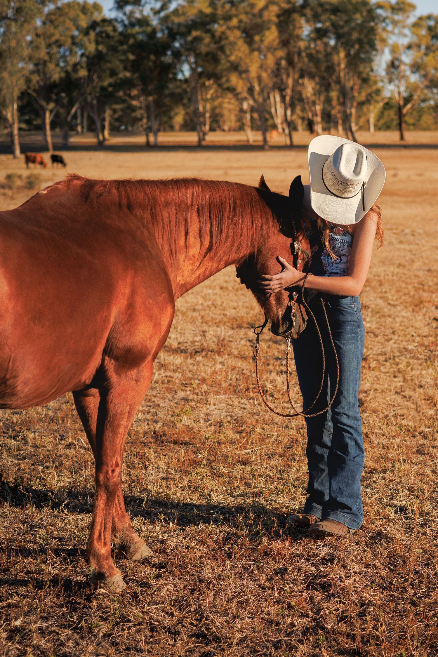 A cowgirl in a white hat and jeans tenderly embraces a chestnut horse in a golden sunlit field.