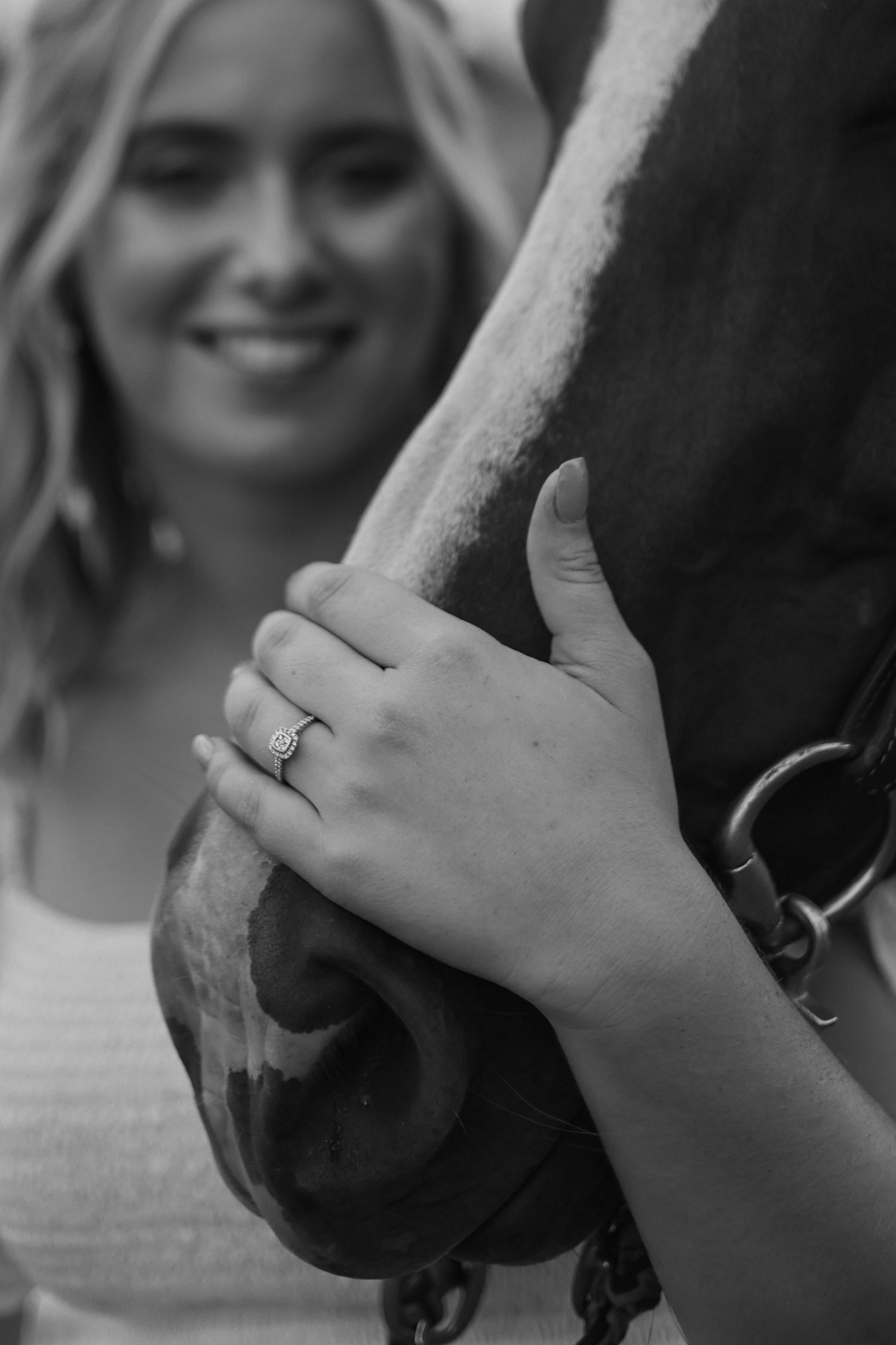 Close-up photo of person's hand petting a large black horses face showing affection and connection.