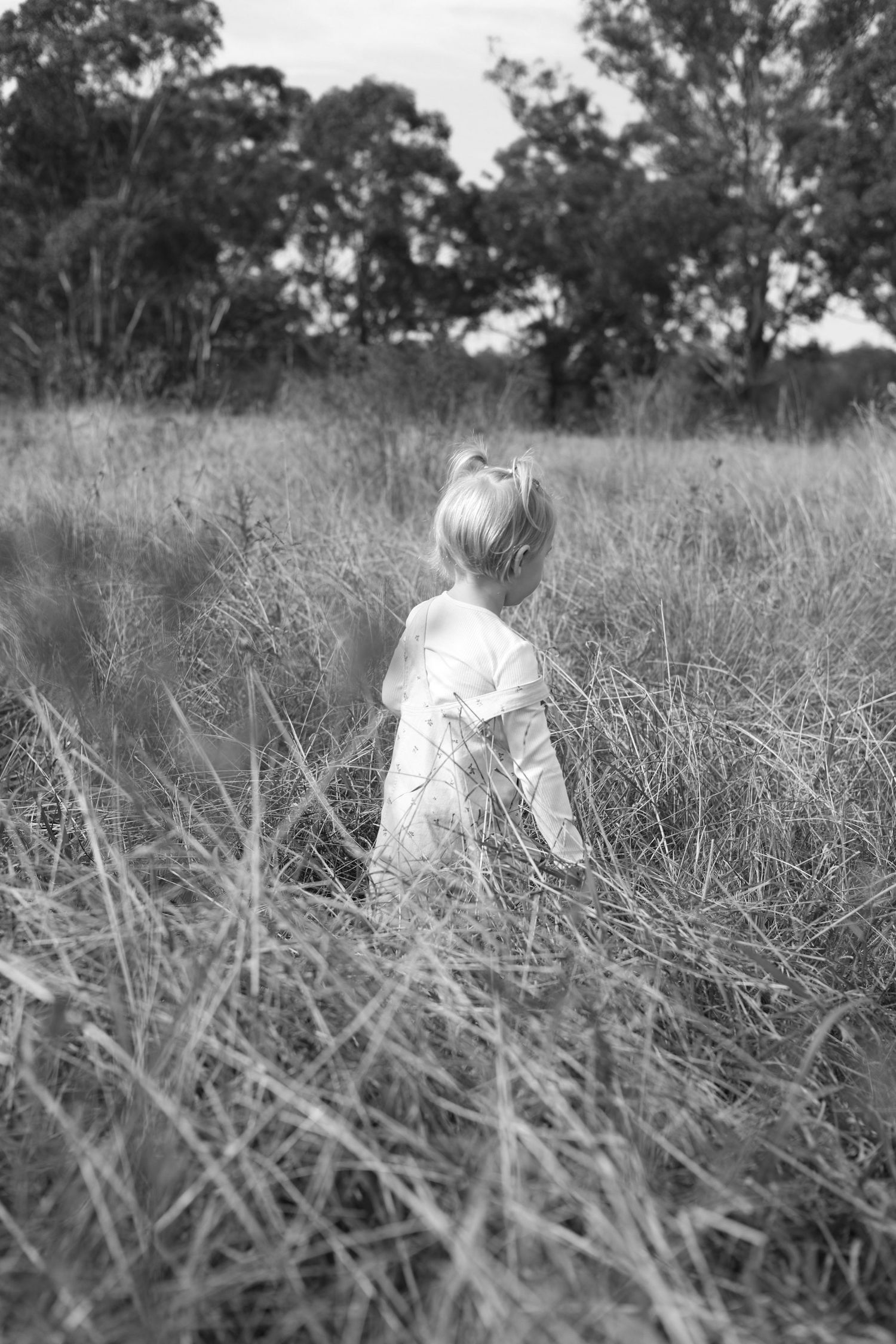 Black and white images of a small child exploring in a tall grassy field with trees in the background.