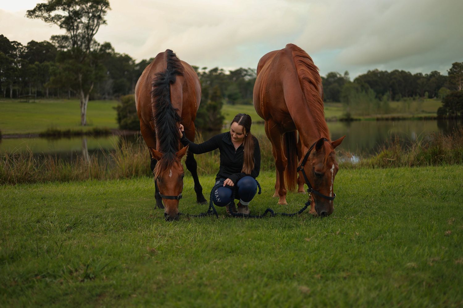Two horses grazing in a peaceful pasture near a pond at dusk while someone sits between them.