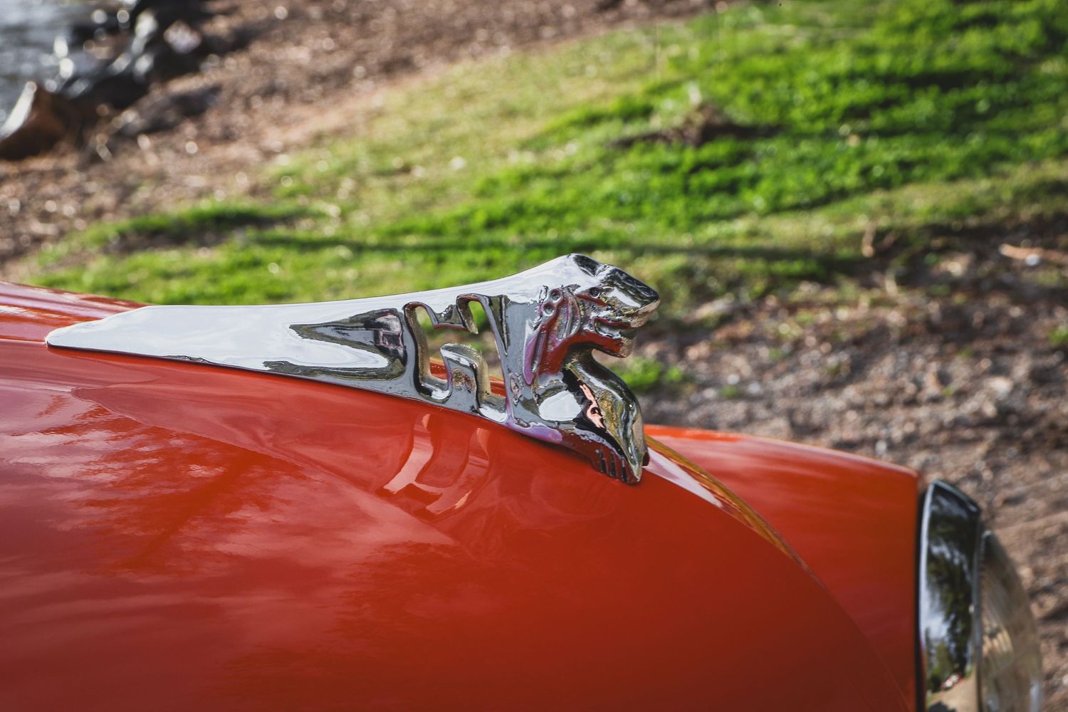 Hood ornament