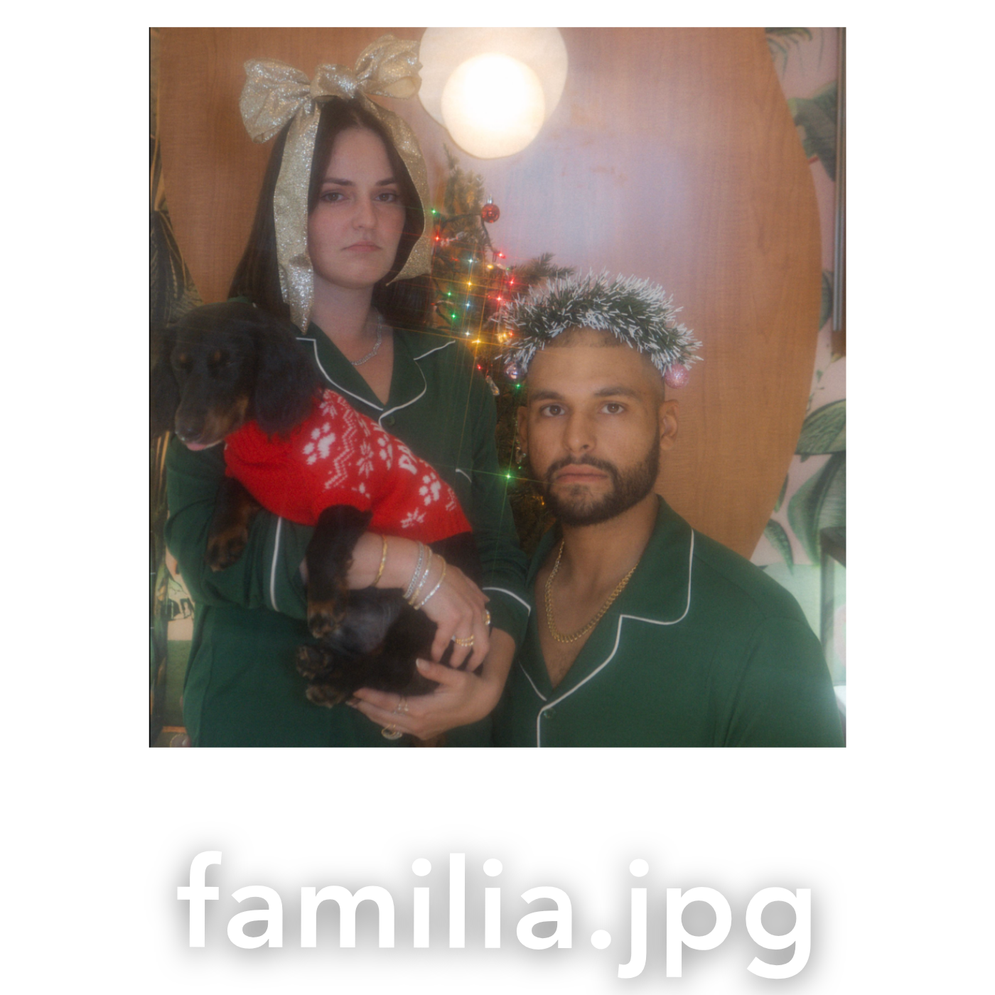 Couple in matching green Christmas pajamas holding a dog, posing for a festive holiday family photo.