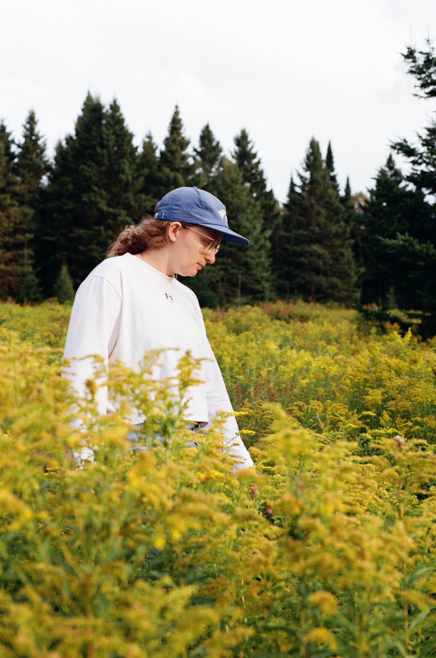 A young woman in a blue cap and white sweater stands among vibrant yellow wildflowers with evergreen trees behind her.
