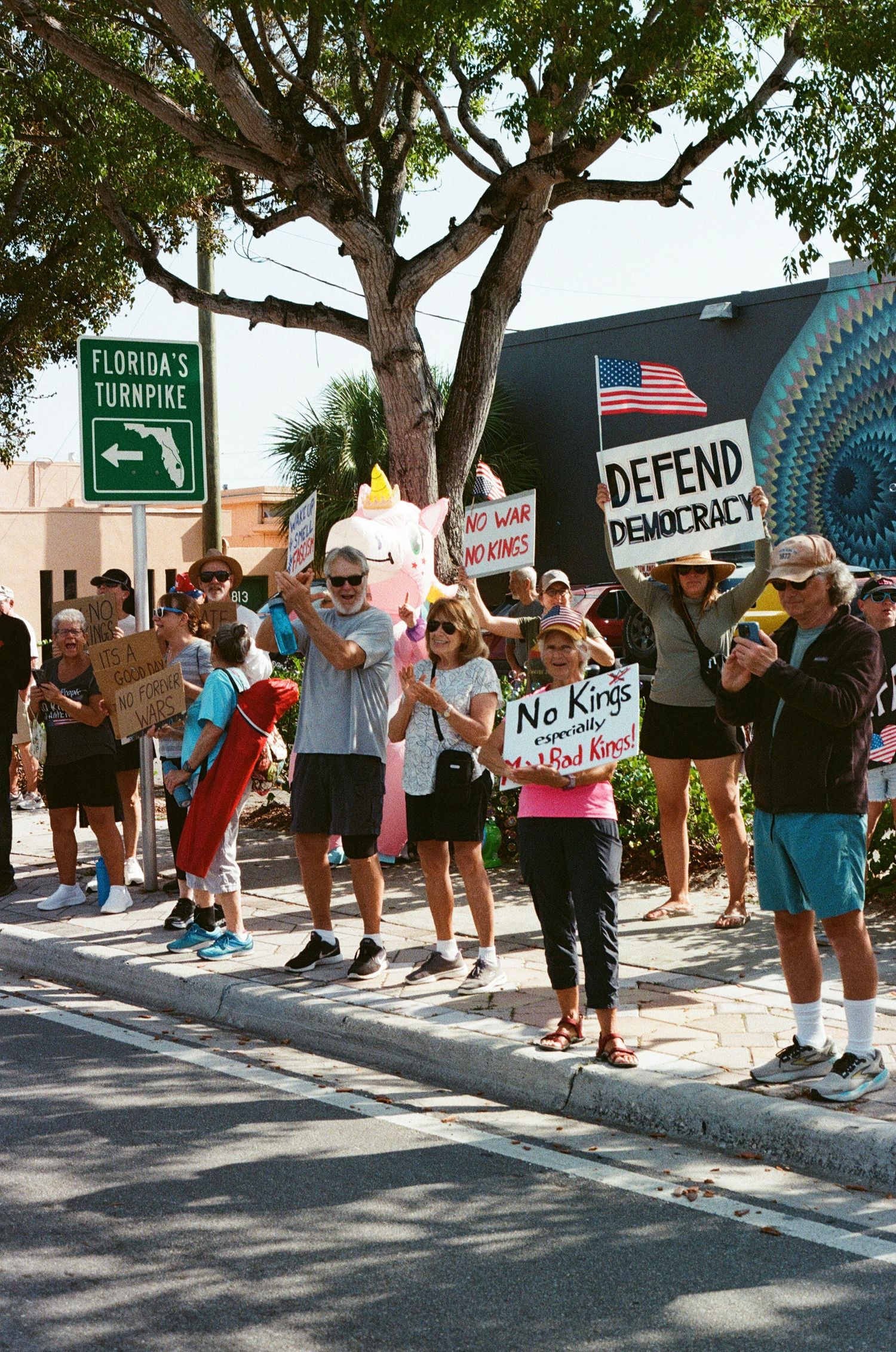 Protesters line Florida's Turnpike street holding 'Defend Democracy' and 'No Kings' signs at outdoor rally.