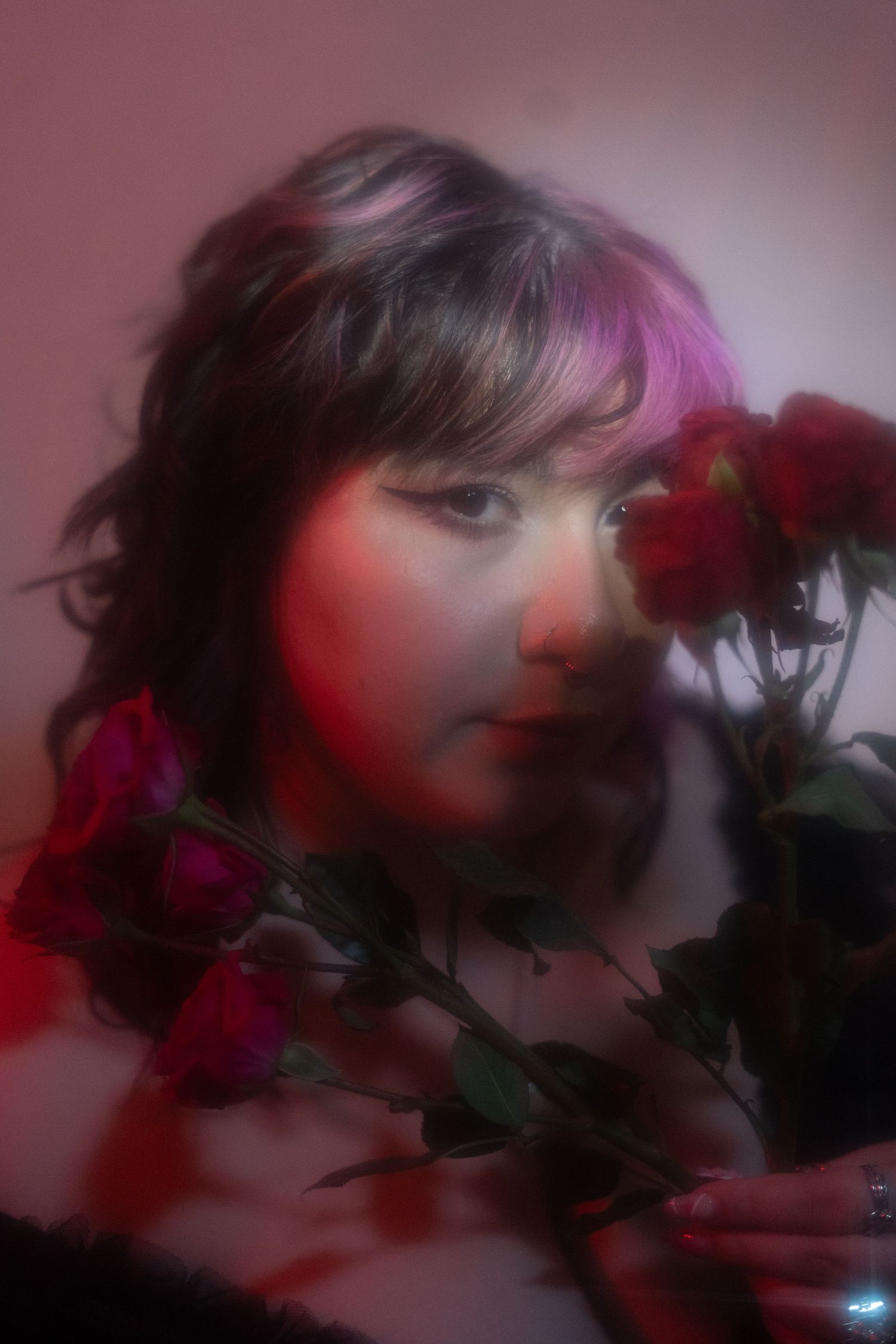 Dreamy portrait of woman with purple-highlighted hair holding red roses in pink light.