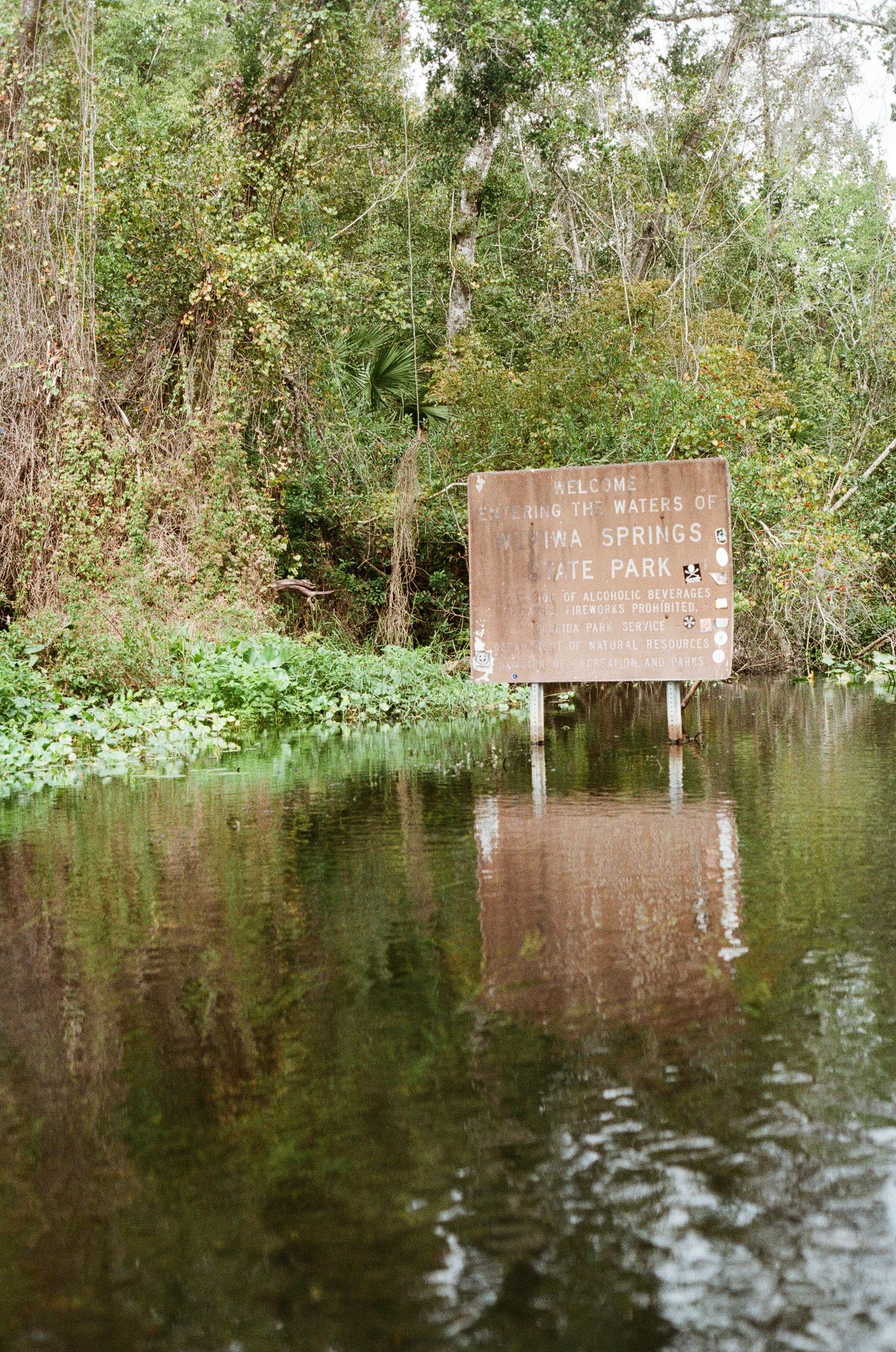 Flooded park entrance sign at Blue Springs State Park surrounded by lush green trees and rising water.