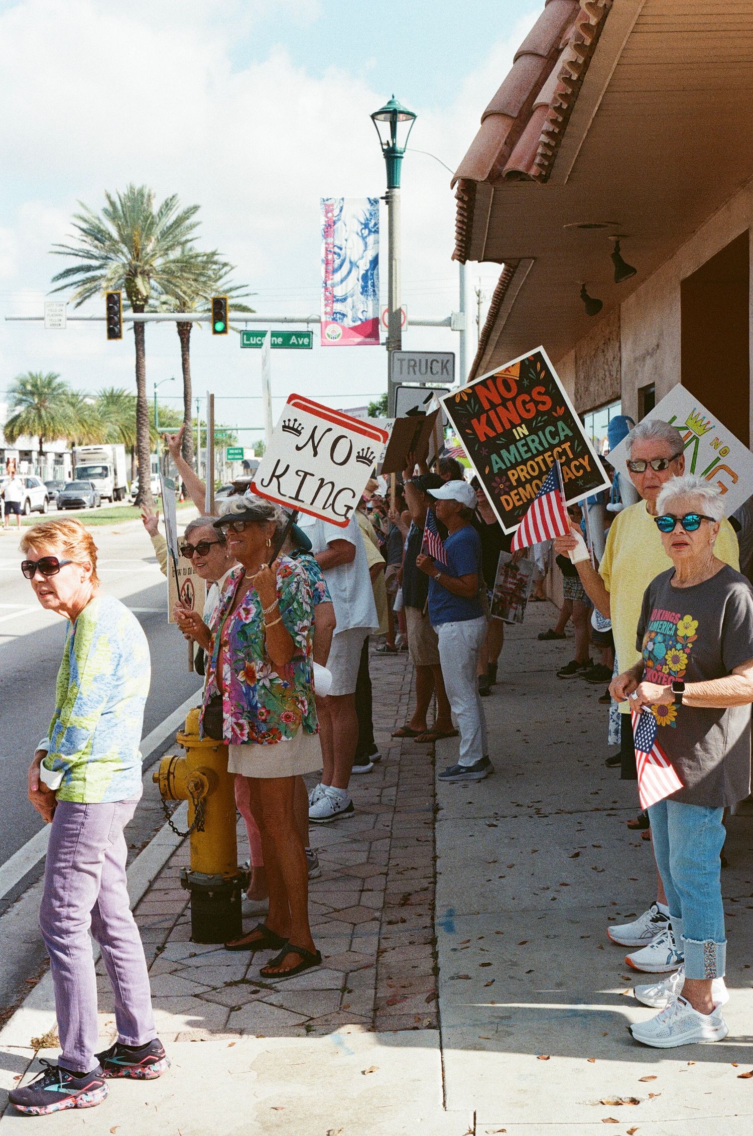 Protesters line sunny sidewalk holding 'No Kings' and democracy signs at street-level political rally.