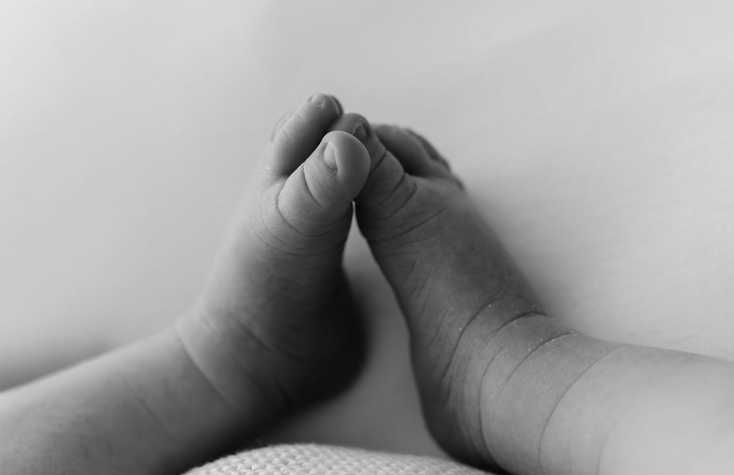Black and white close-up photo of a newborn baby's tiny feet together on a white background.