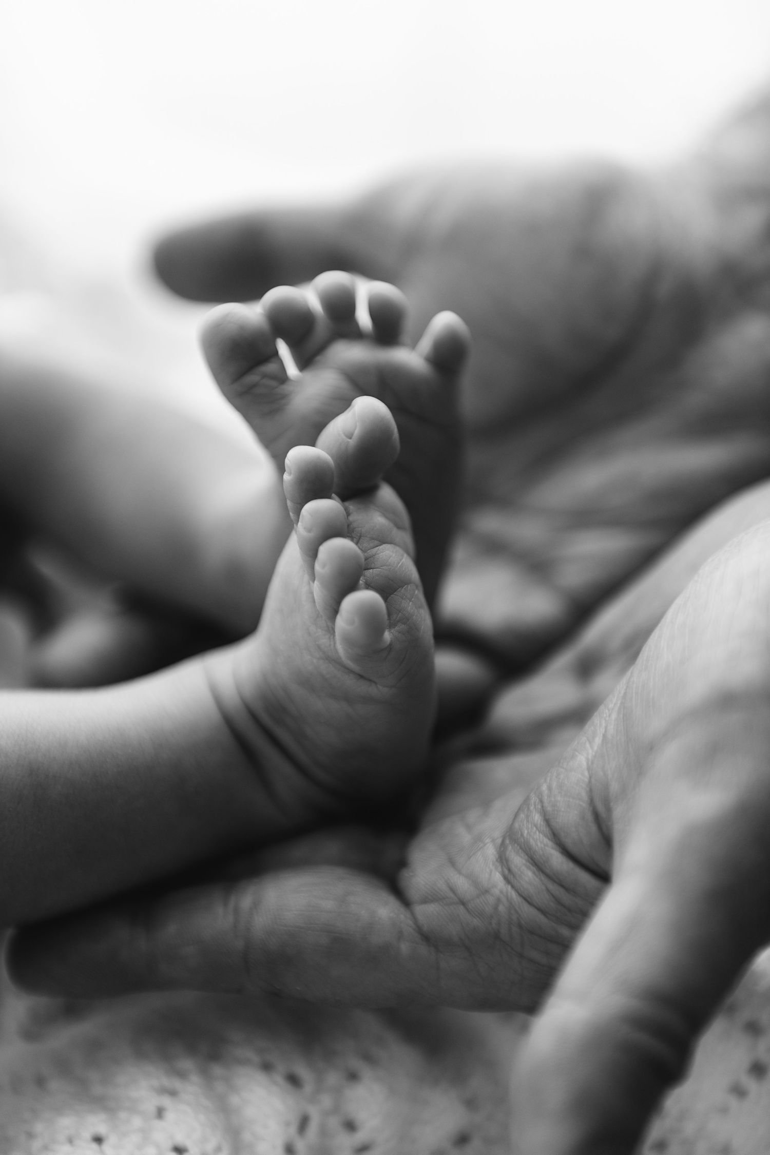 A close-up black and white photo of tiny baby toes being gently held by adult hands.
