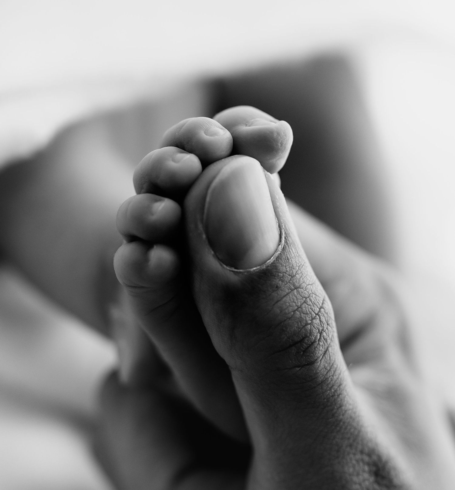 Black and white close-up of a newborn baby's tiny foot being gently held by an adult's hand.