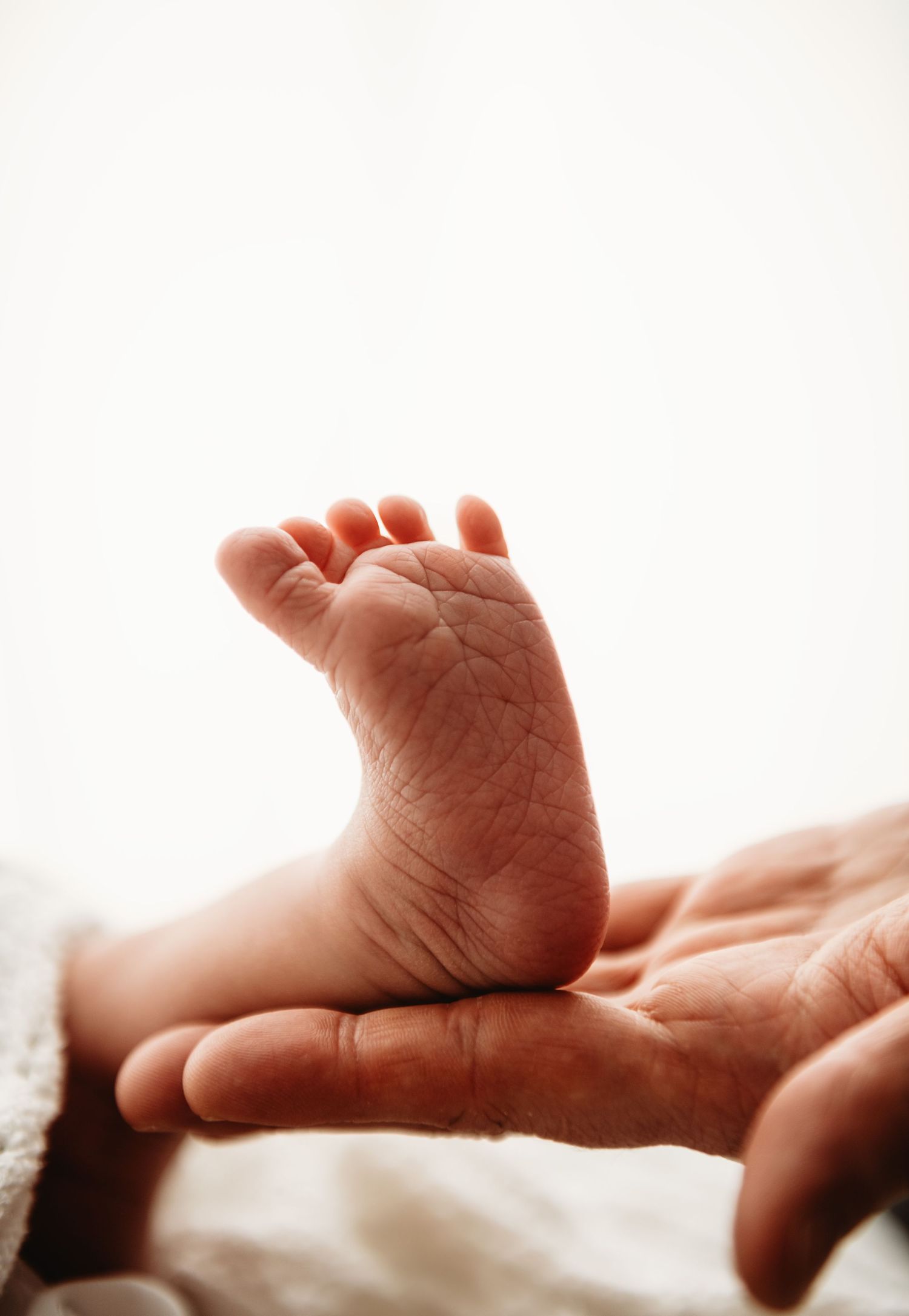 A gentle adult hand cradling a tiny newborn baby foot against a soft white background.