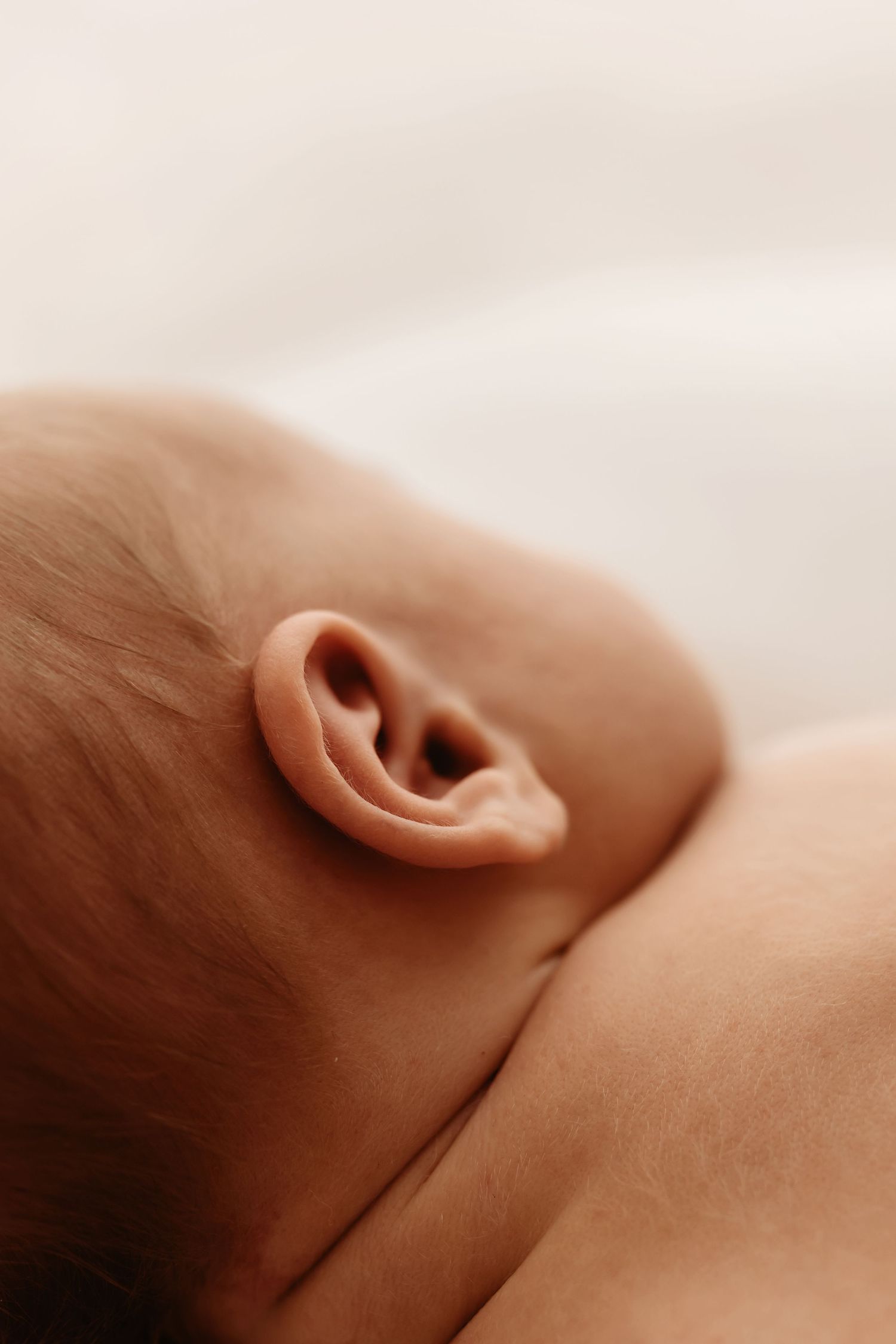 Close-up of a newborn baby's delicate ear, showcasing soft skin and tiny features against a white background.