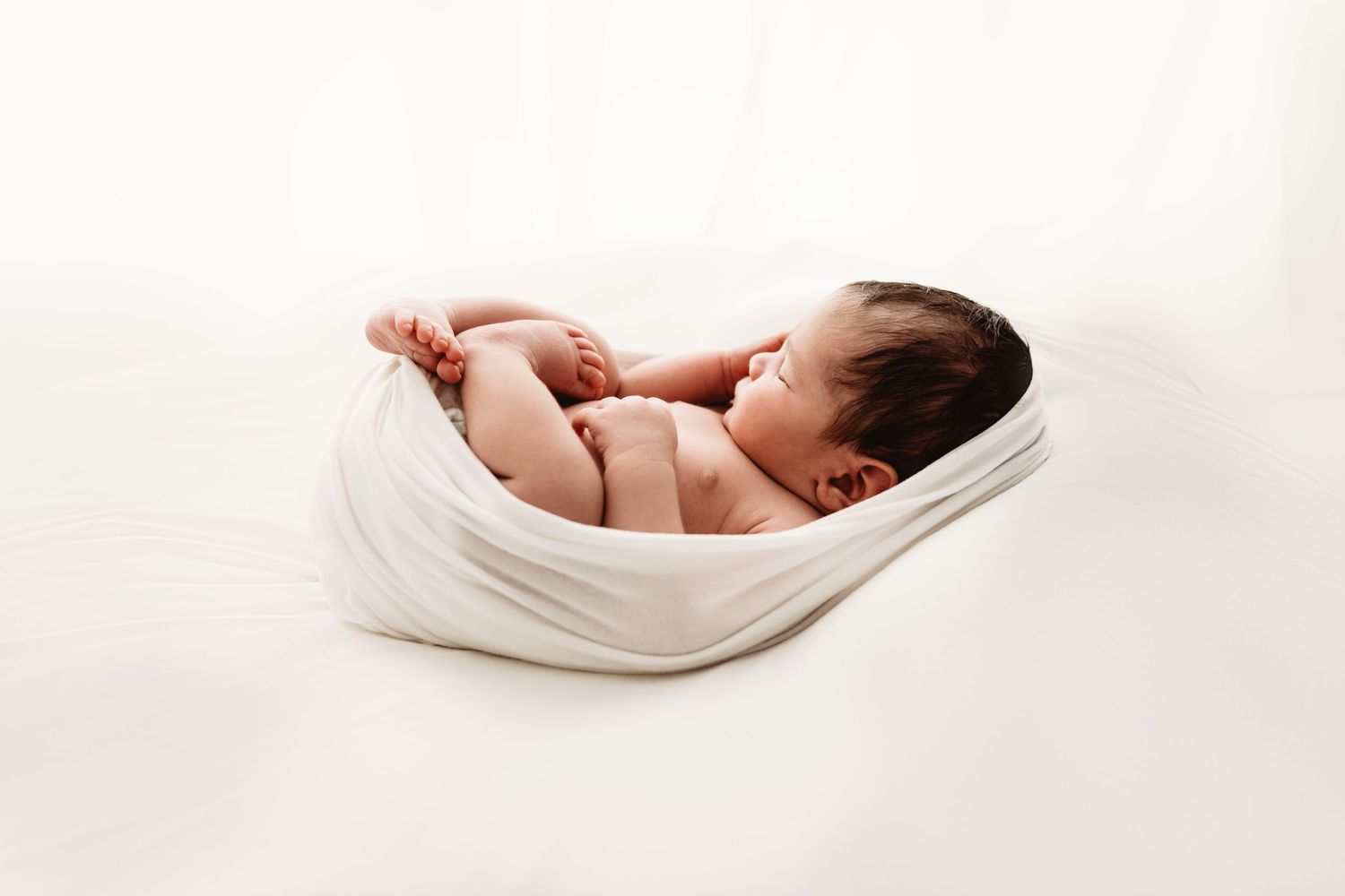 A newborn is wrapped in a womb pose during a newborn photoshoot in Northamptonshire