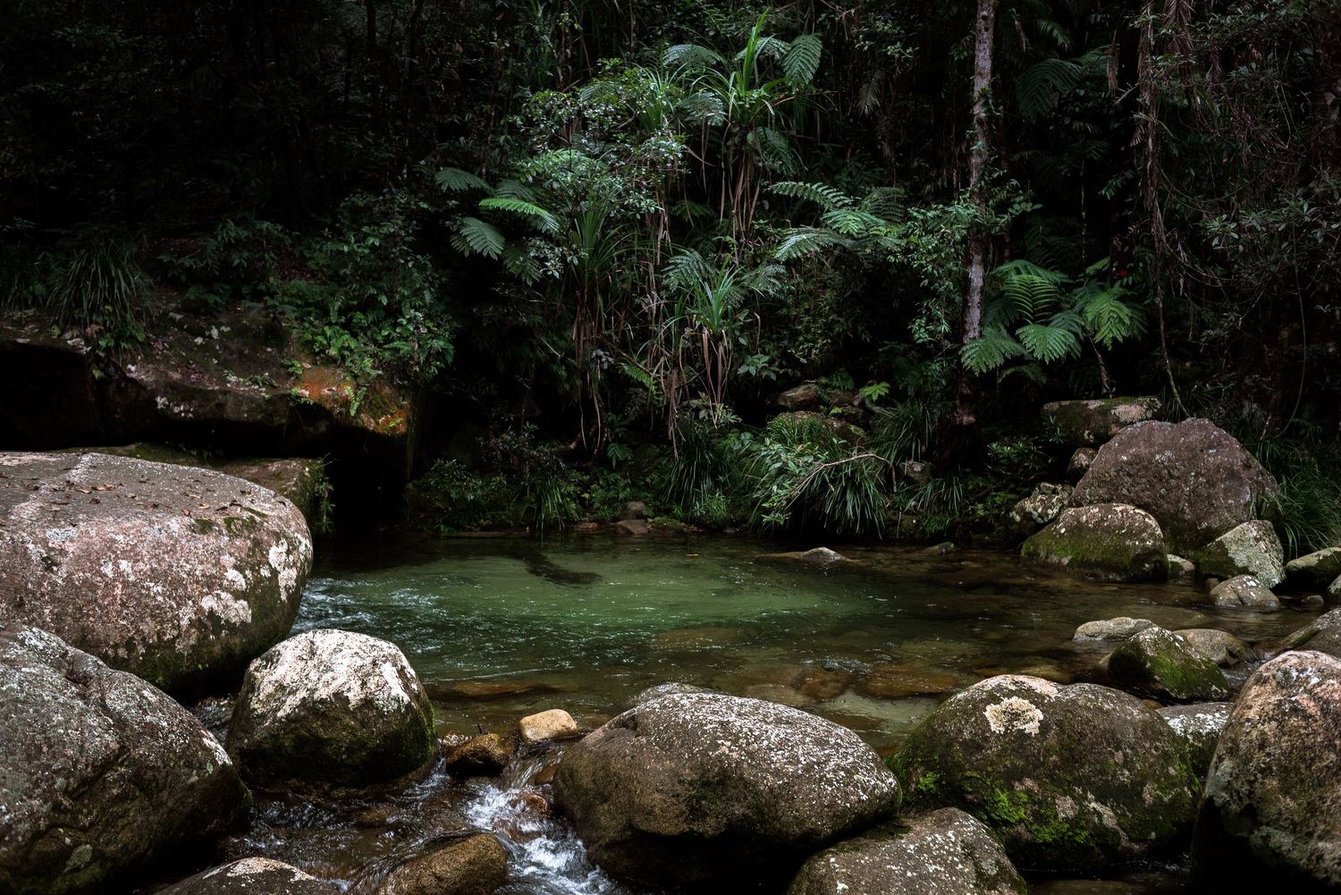 Josephine Falls, Cairns © 2023 Jenna Hennessy / The Tone Curve