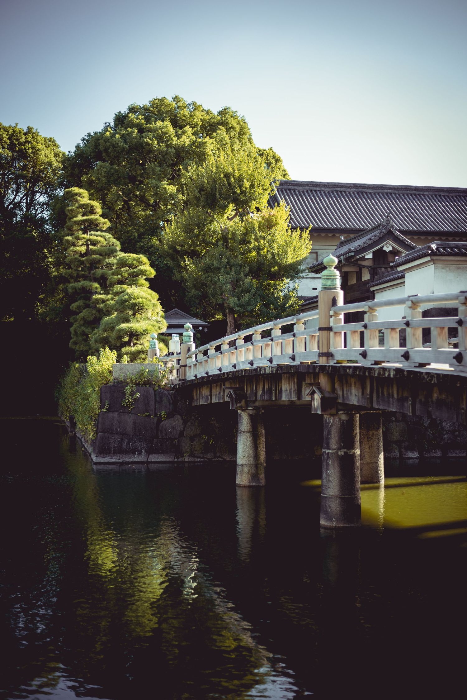 Tokyo, Japan:- 2024
Travel photography
© 2024 Jenna Hennessy / The Tone Curve