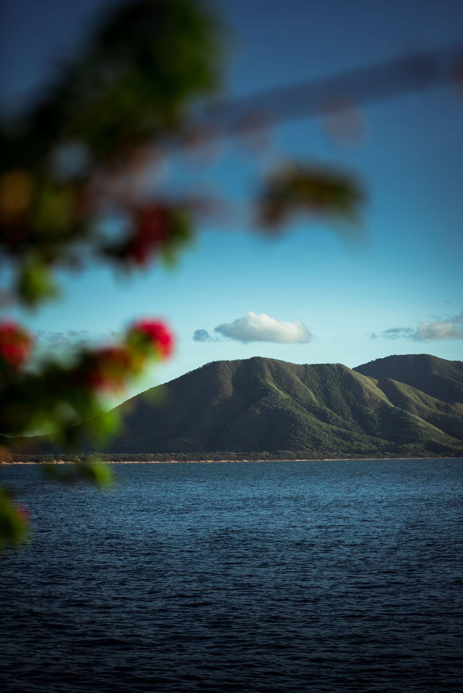 Cooktown, Cape York, Far North Queensland © 2025 Jenna Hennessy / The Tone Curve