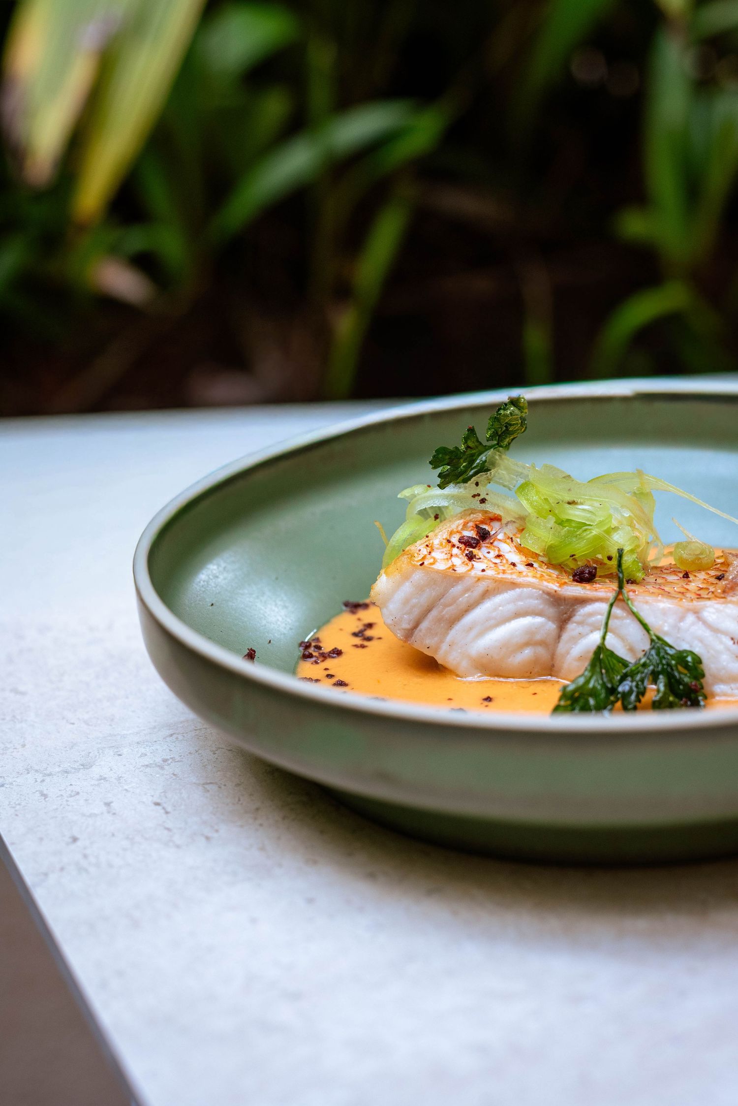 Crispy salmon dish, Cairns