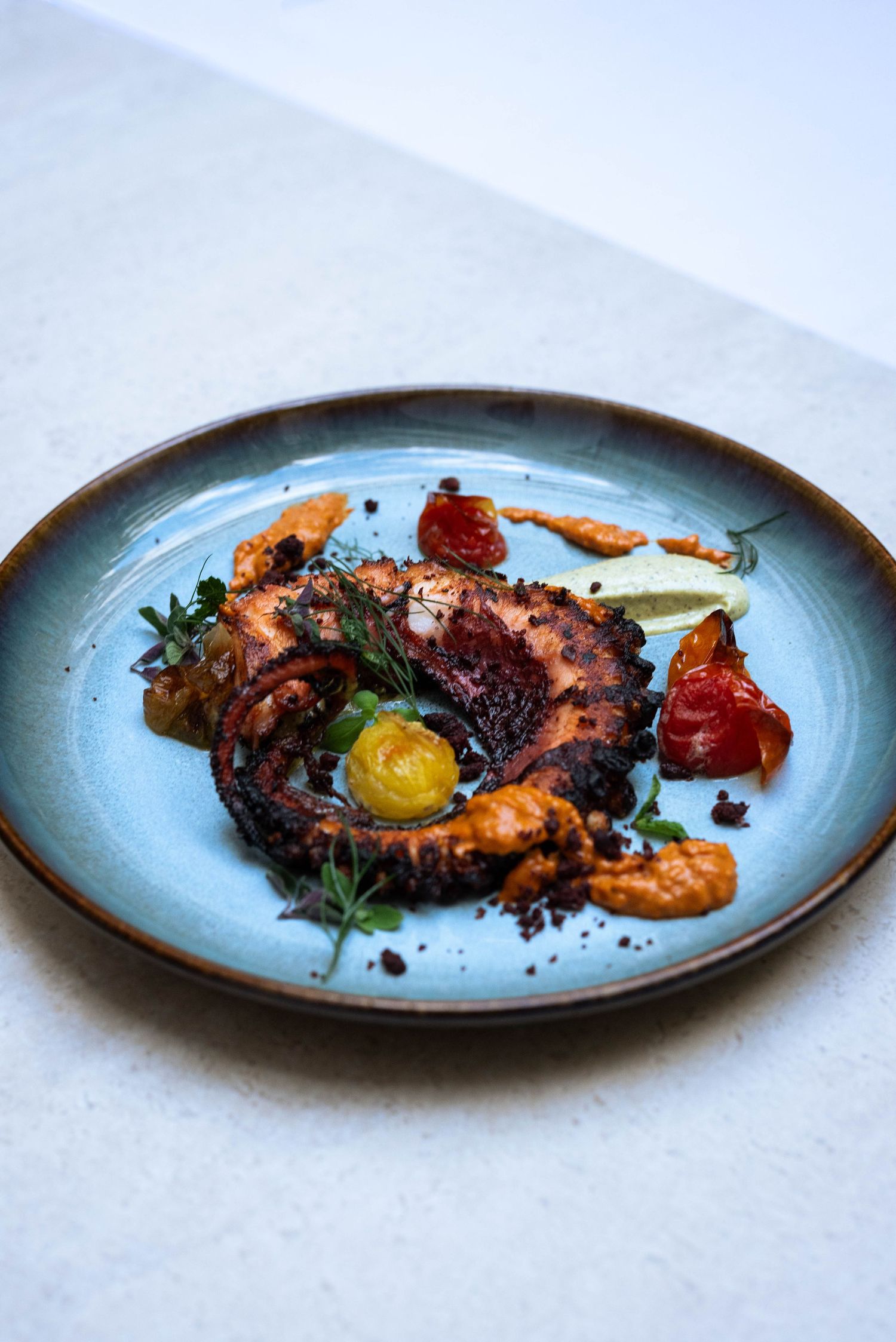 Octopus, seafood, food photographer cairns