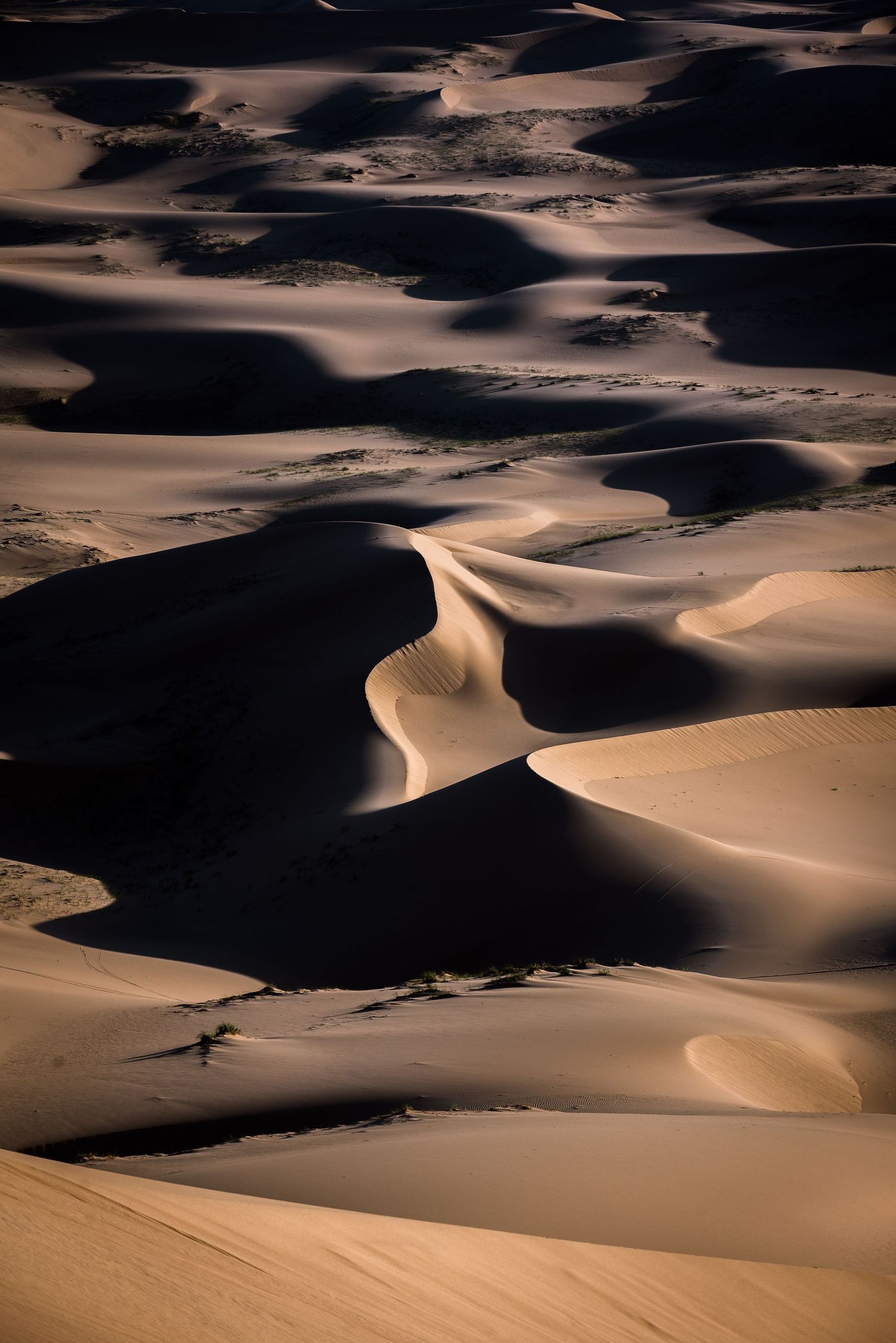 Gobi Desert, Mongolia © 2025 Jenna Hennessy / The Tone Curve