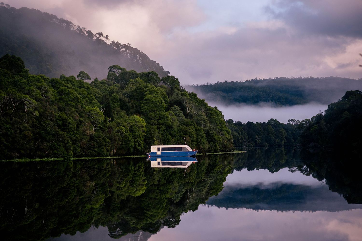 The Pieman River, West coast Tasmania:- 2022
Travel photography, Australia
© 2022 Jenna Hennessy / The Tone Curve