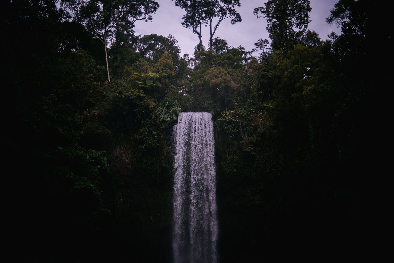 Milla Milla Falls, North QLD: 2023
Travel photography, Australia
© 2023 Jenna Hennessy / The Tone Curve