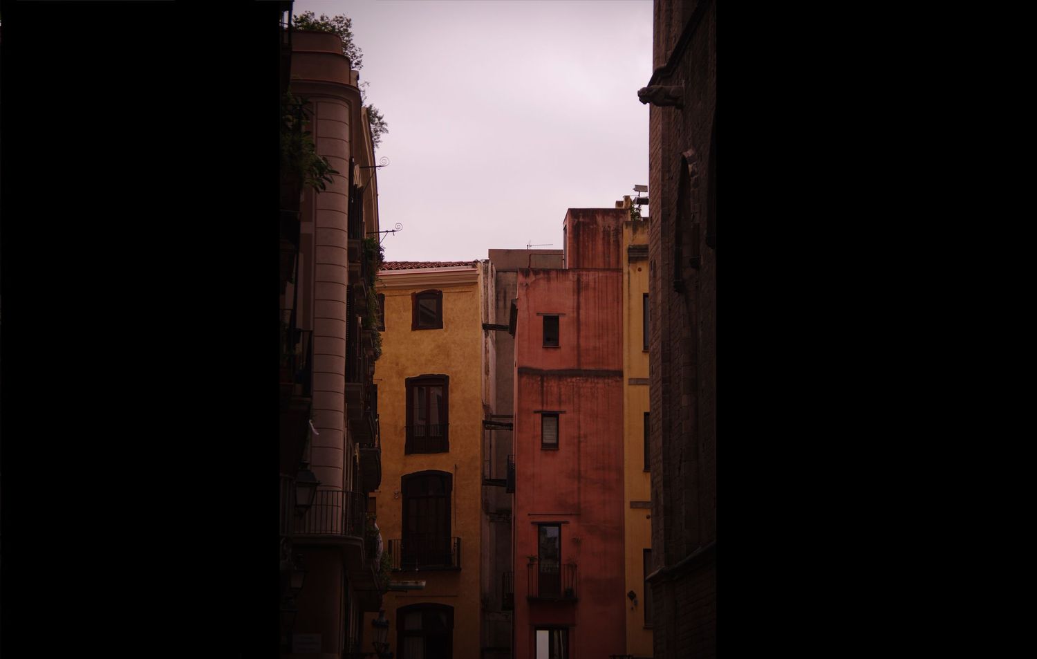 Barcelona, Spain:- 2017
© 2017 Jenna Hennessy / The Tone Curve