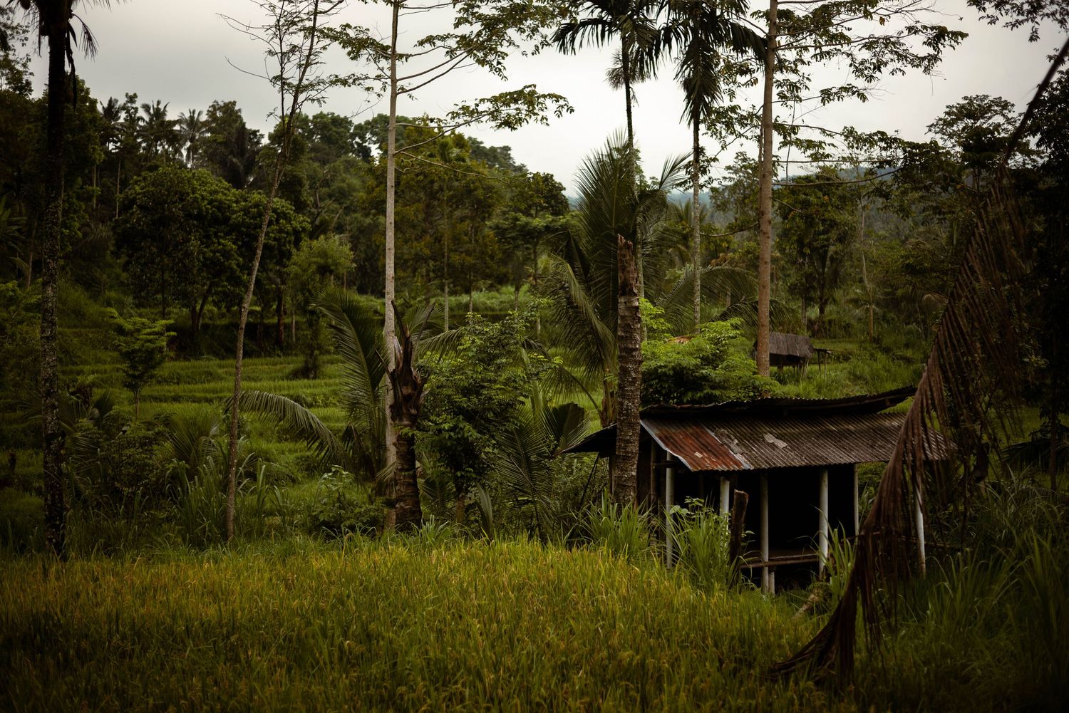 Lombok, Indonesia. The Tone Curve copyright