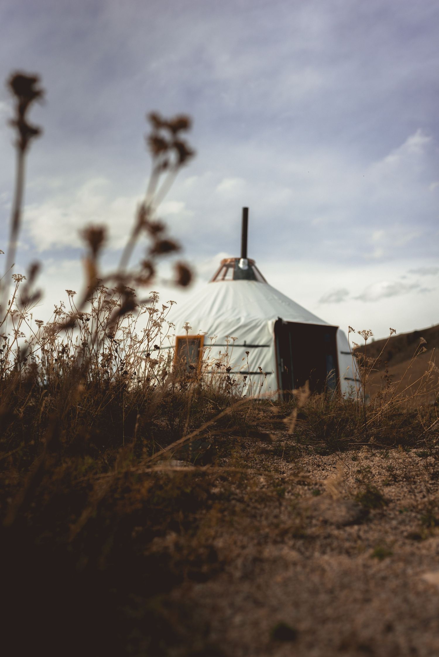 Mongolia:- 2024
Travel photography
© 2024 Jenna Hennessy / The Tone Curve