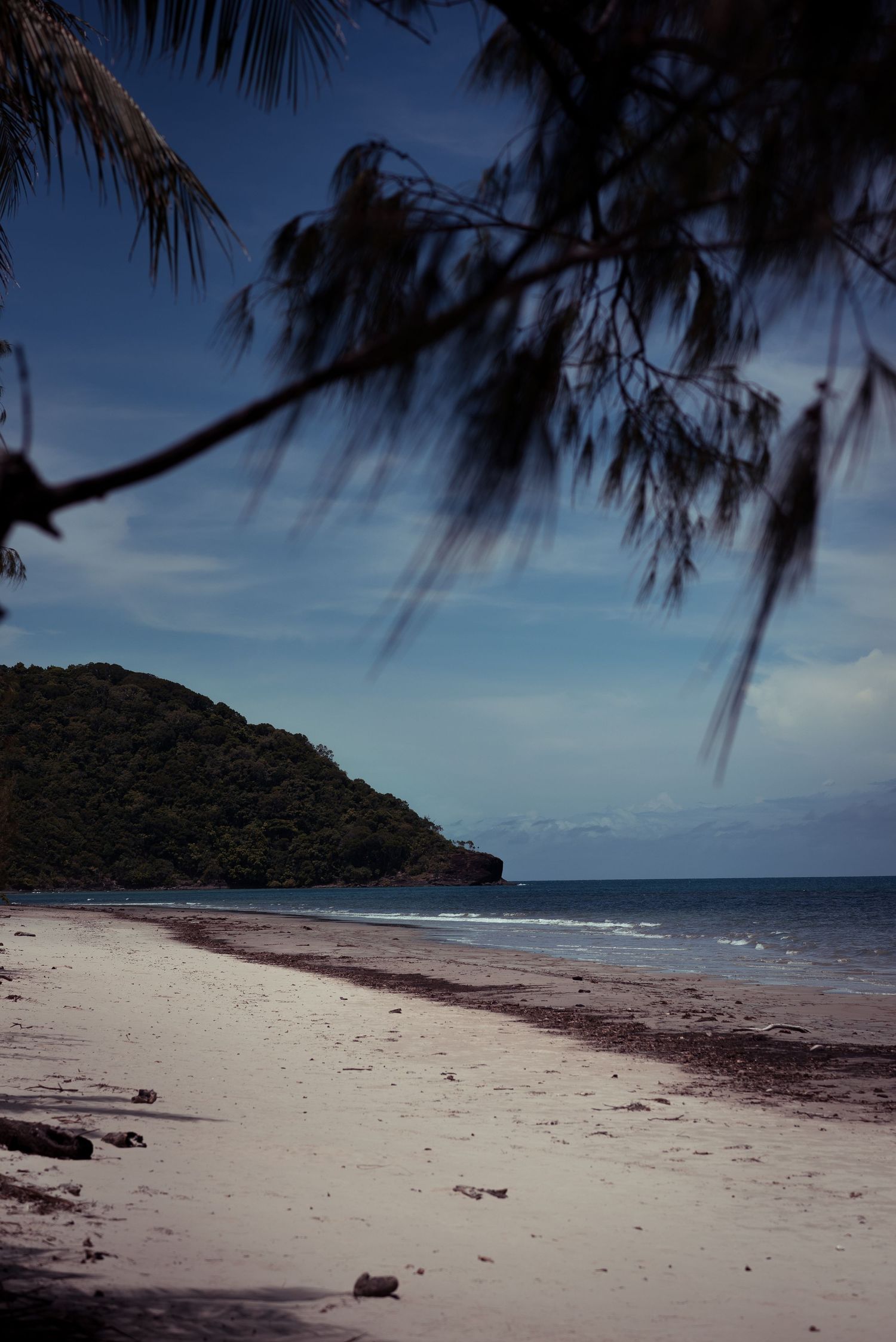 Cape Tribulation, Daintree © 2023 Jenna Hennessy / The Tone Curve
