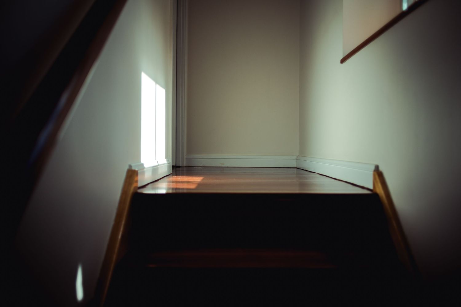 Venue, spaces
© 2024 Jenna Hennessy / The Tone Curve