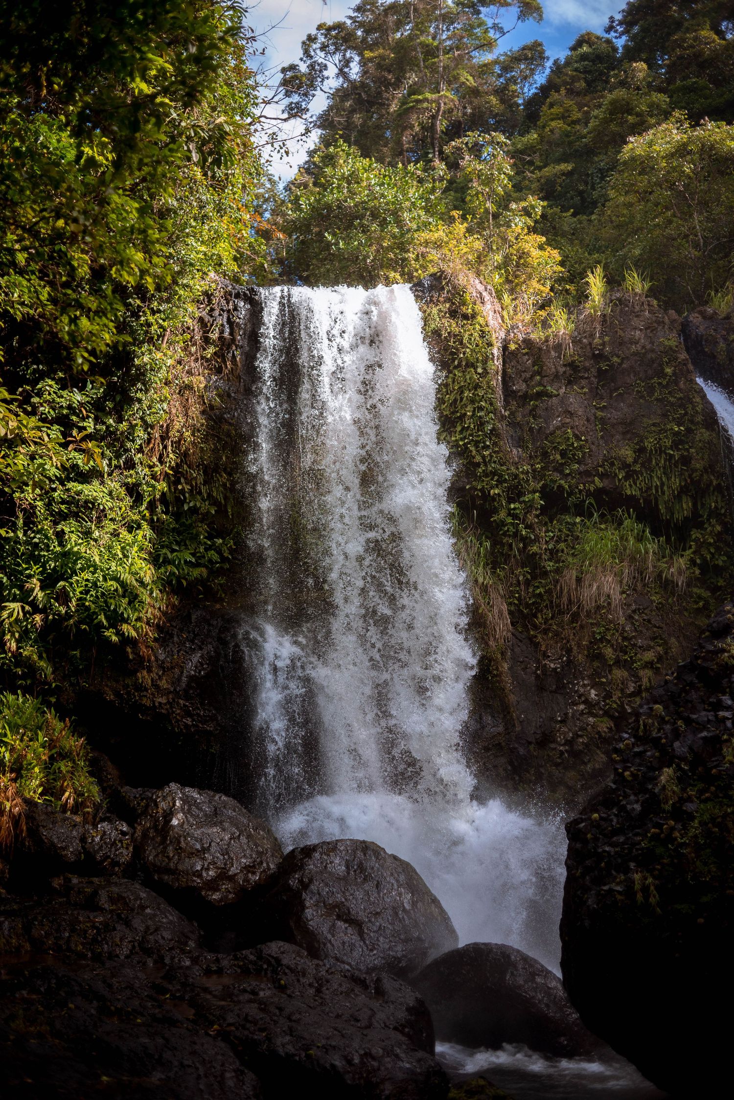Tchupala Falls, Atherton Tablelands © 2023 Jenna Hennessy / The Tone Curve