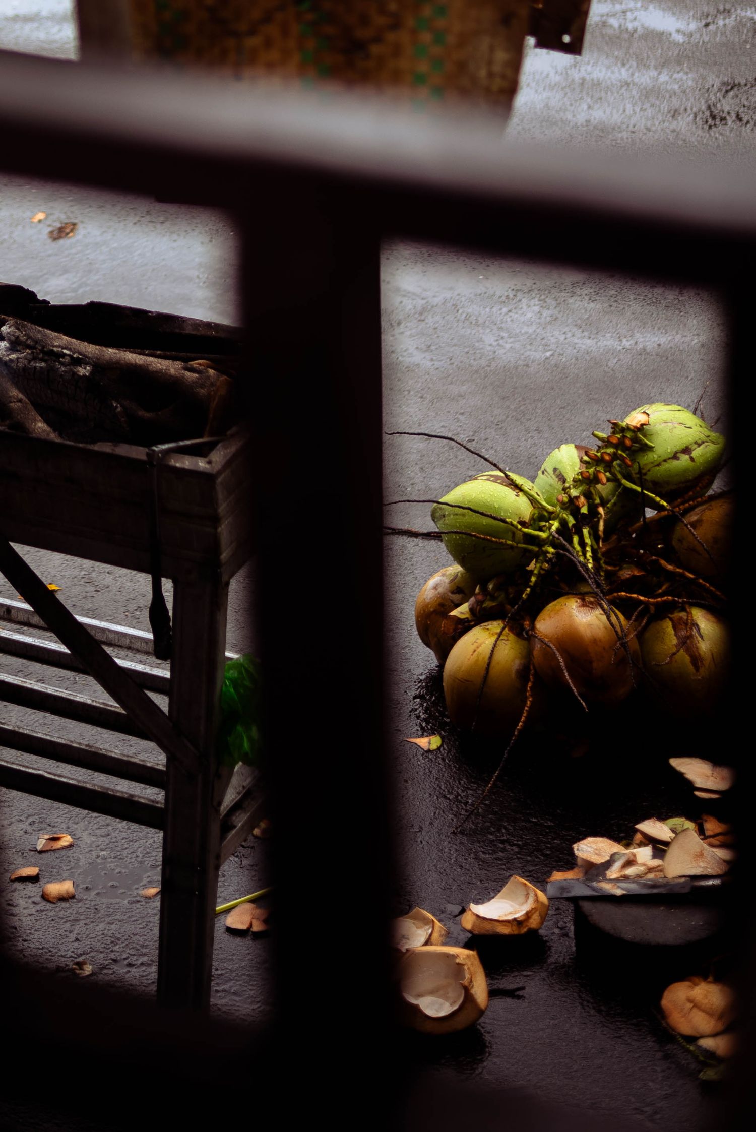 Coconuts, Lombok, Indonesia. The Tone Curve copyright