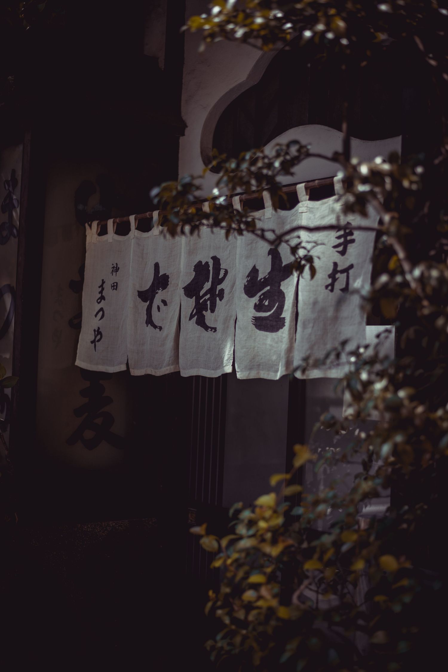 Tokyo, Japan:- 2024
Travel photography
© 2024 Jenna Hennessy / The Tone Curve