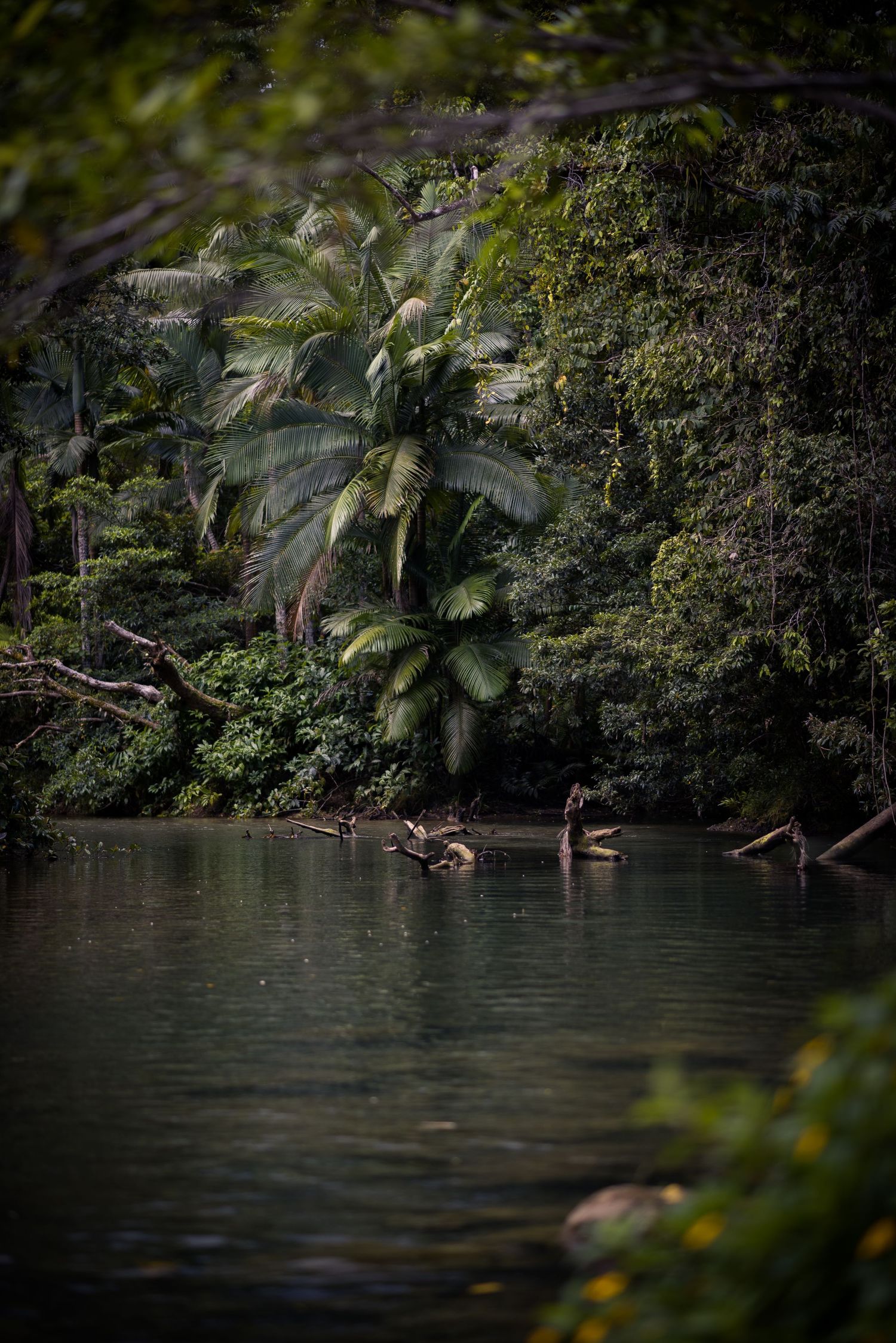Daintree, QLD:- 2023
© 2023 Jenna Hennessy / The Tone Curve